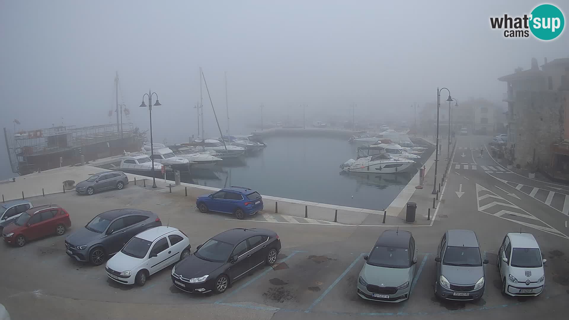 Novigrad | Porporela marina