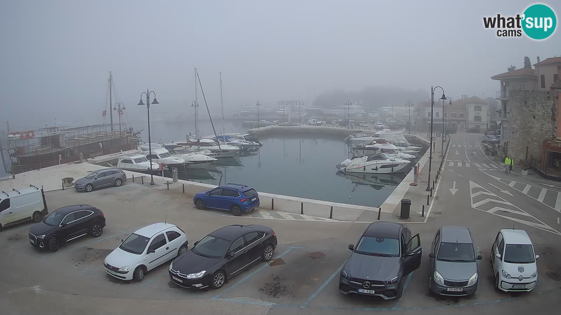 Novigrad | Porporela marina