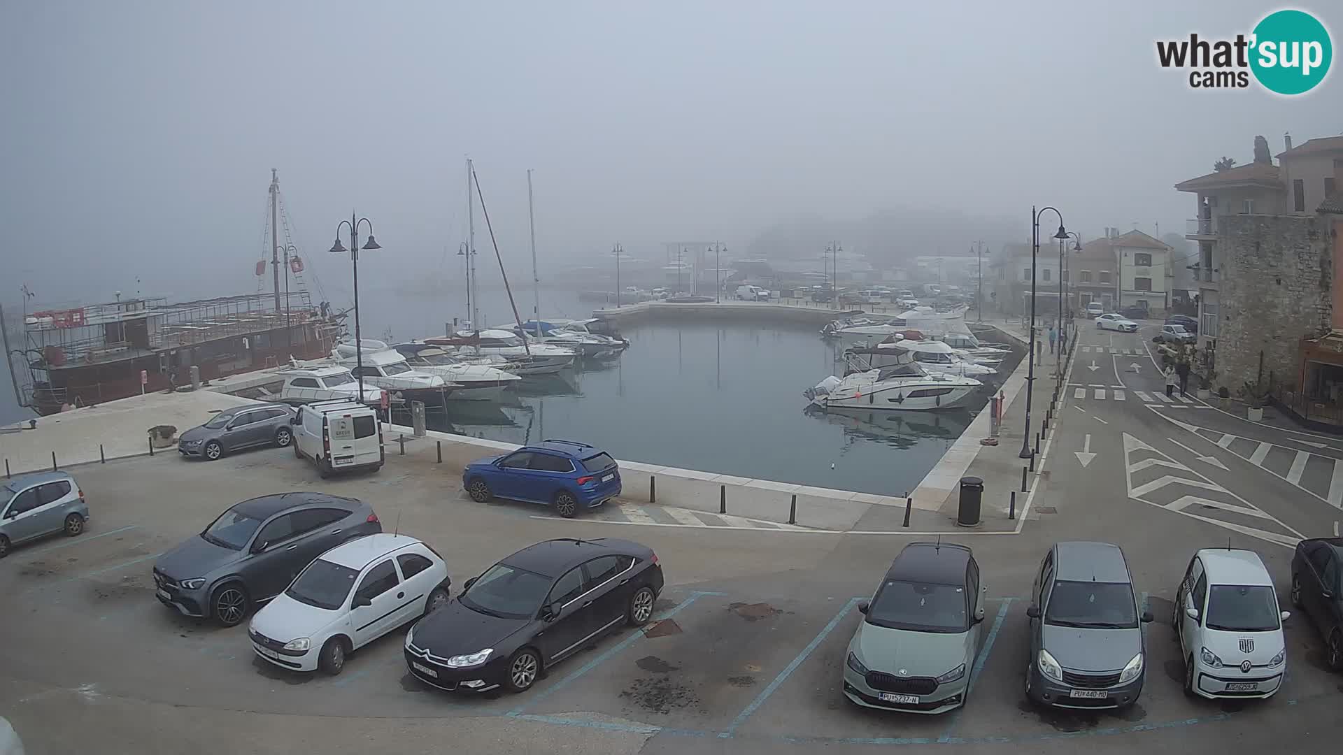 Novigrad | Porporela marina