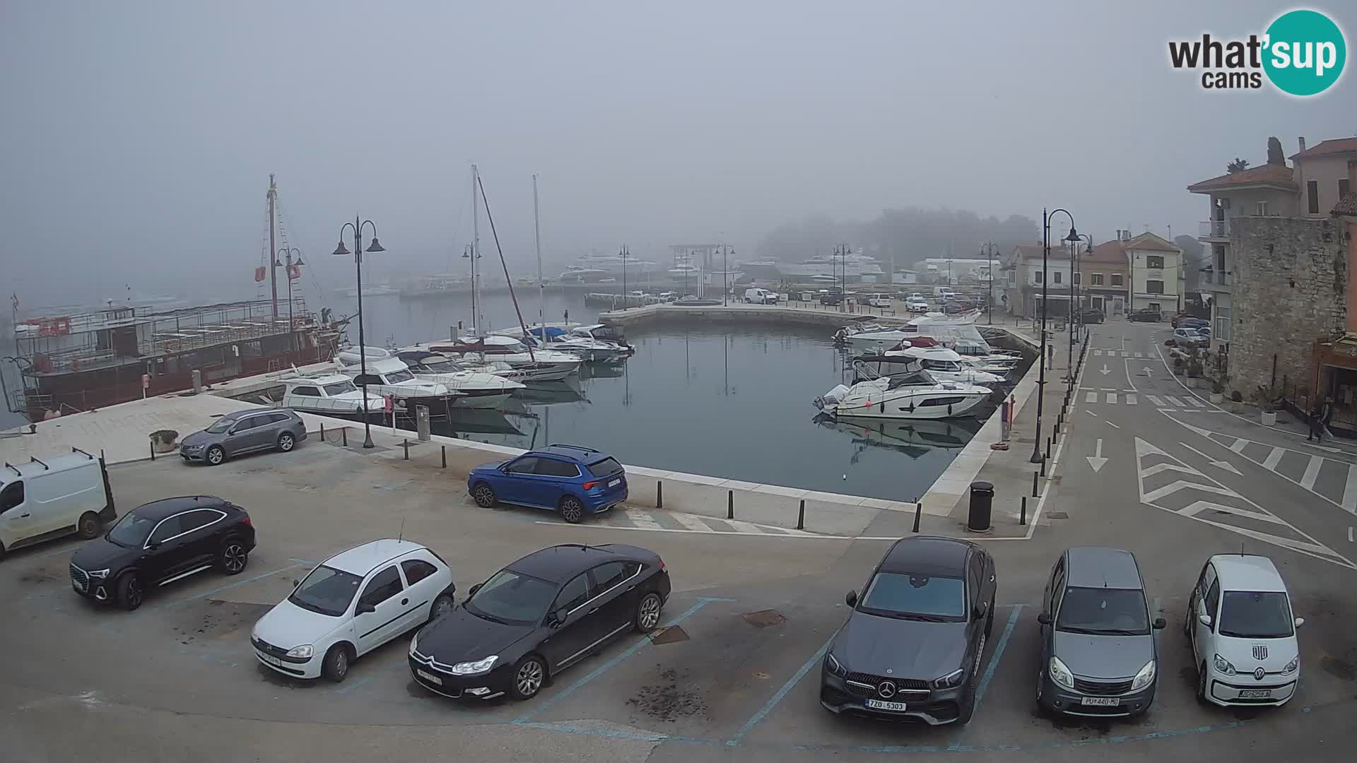 Novigrad | Porporela marina