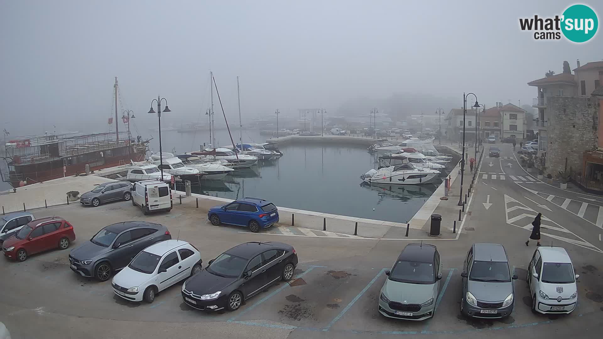 Novigrad | Porporela marina