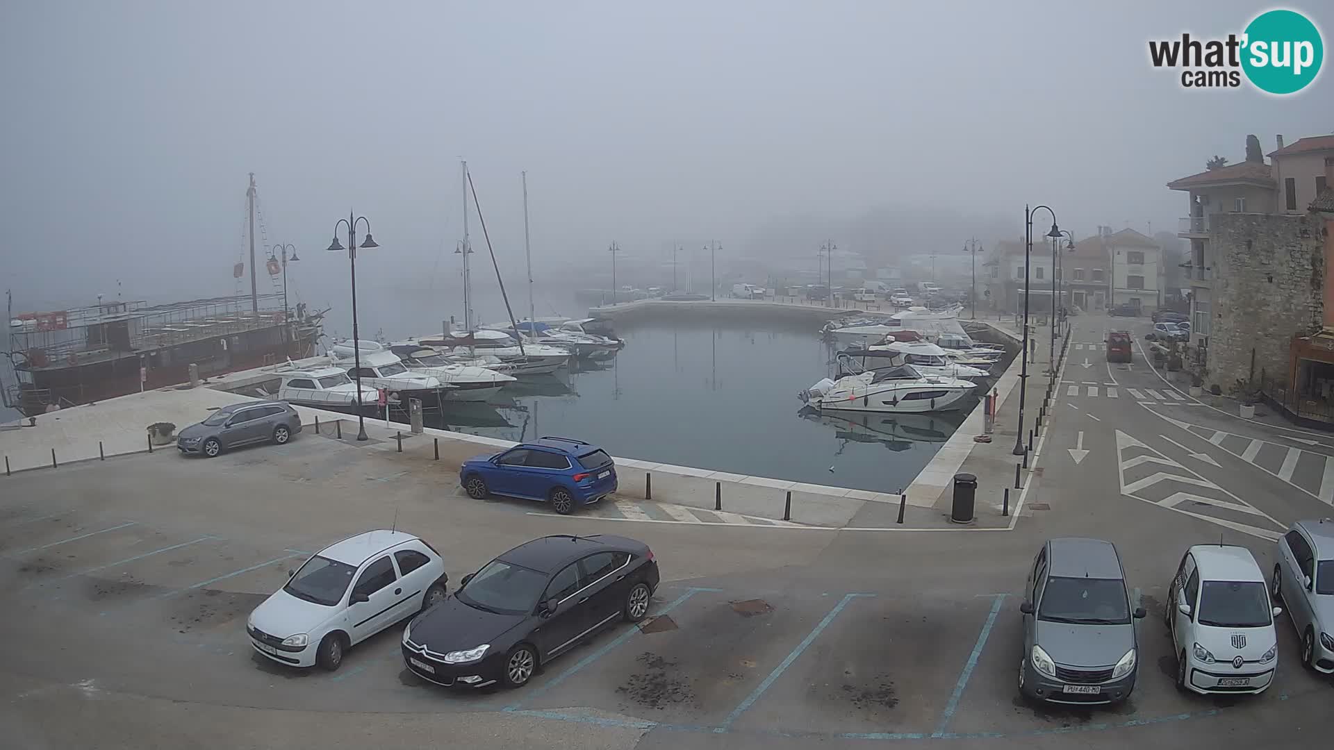 Novigrad | Porporela marina