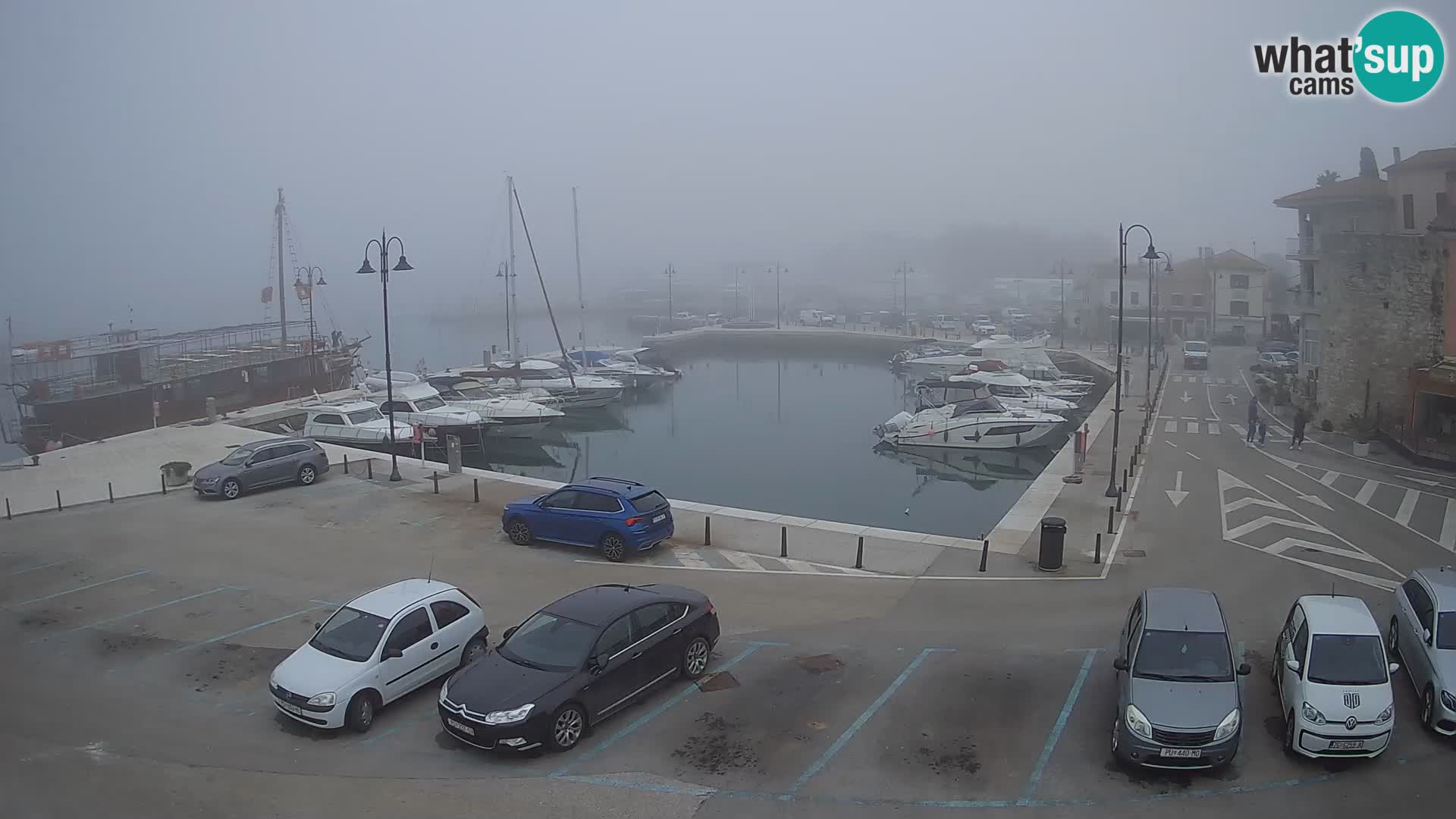 Novigrad | Porporela marina