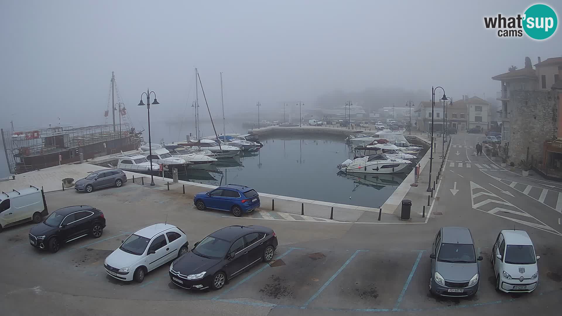 Novigrad | Porporela marina