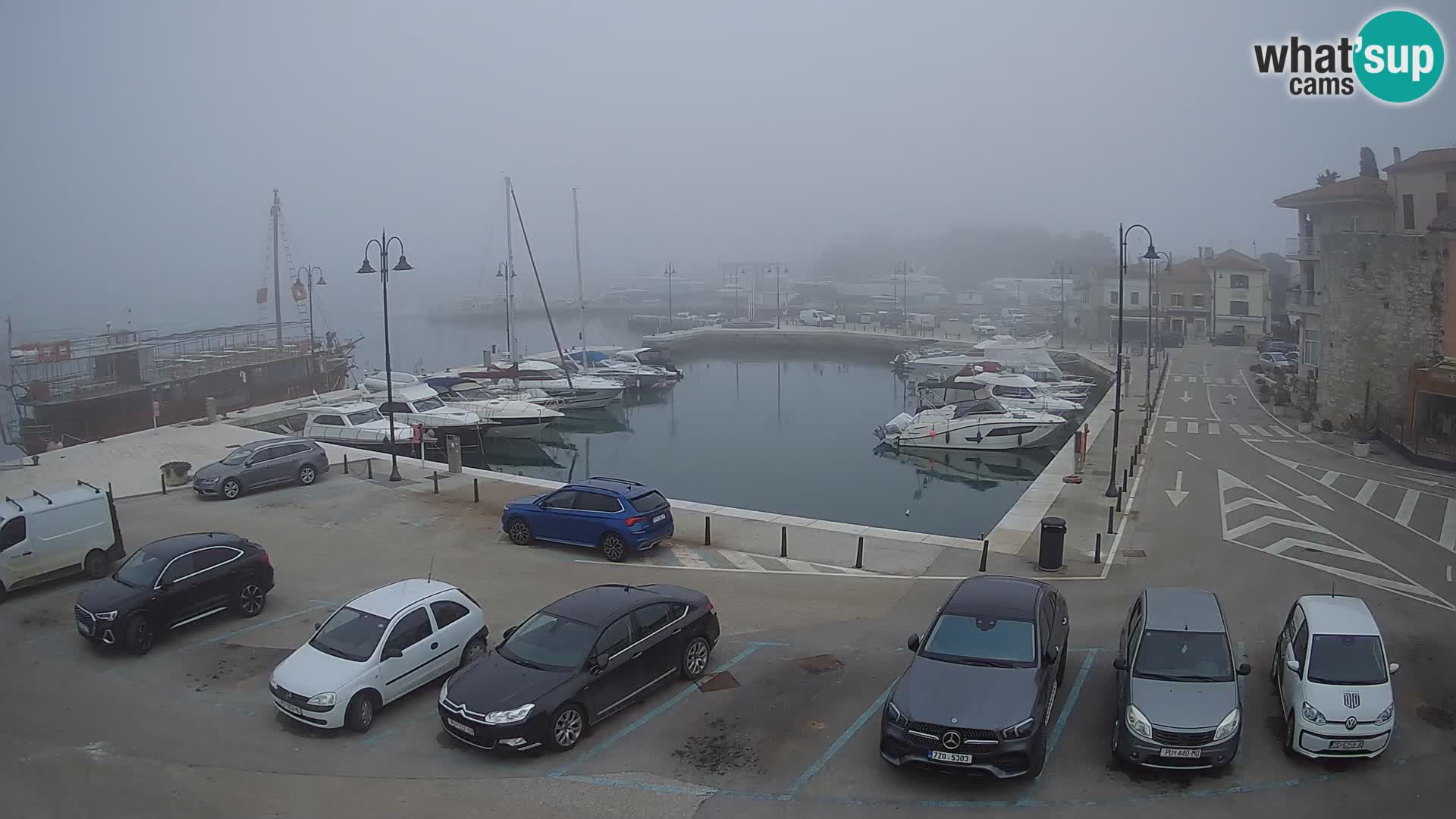 Novigrad | Porporela marina