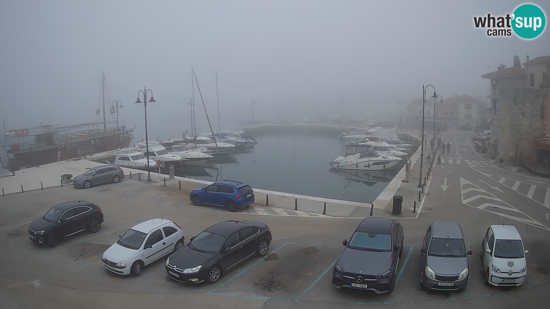 Novigrad | Porporela marina