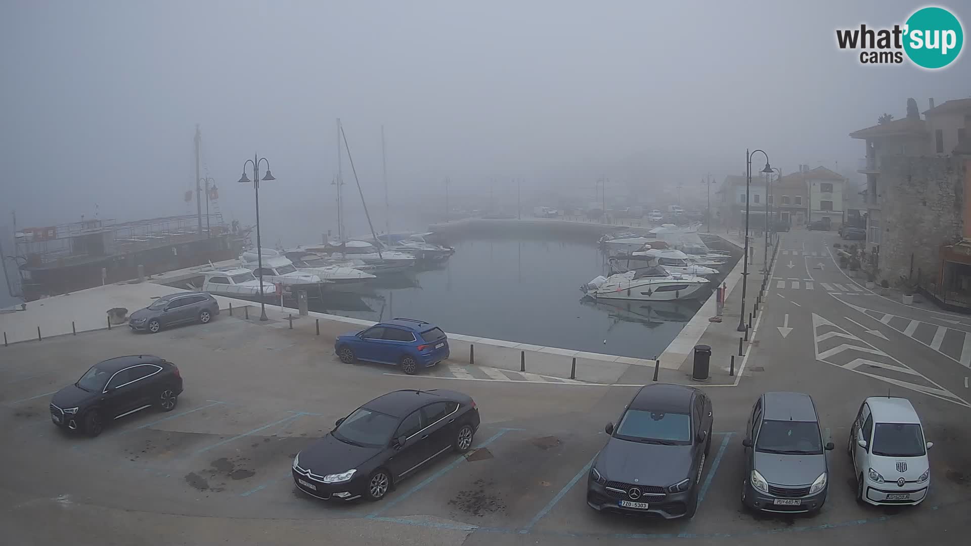 Novigrad | Porporela marina