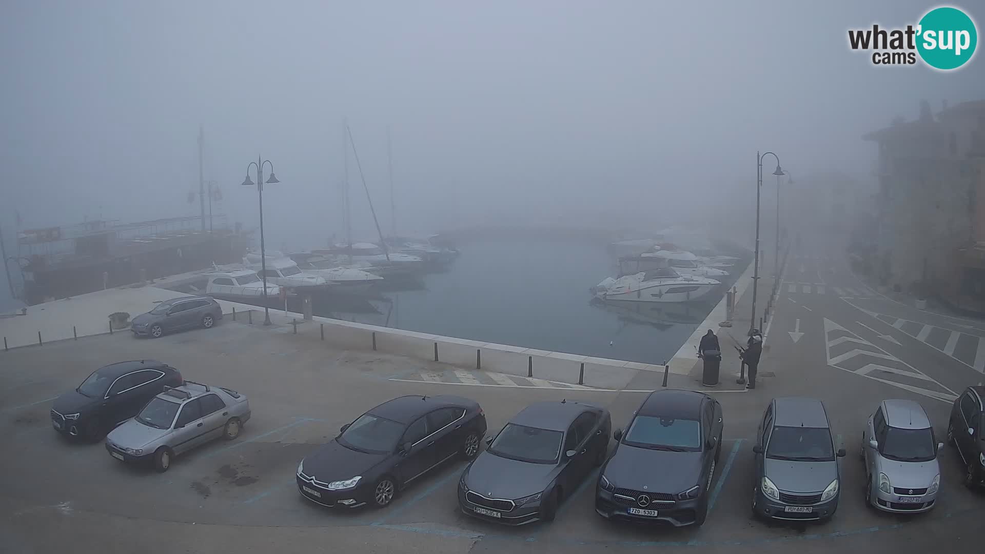 Novigrad | Porporela marina