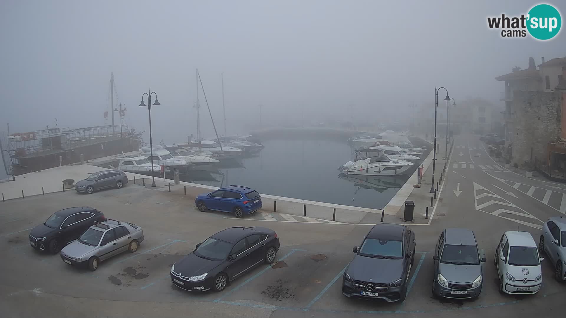 Novigrad | Porporela marina