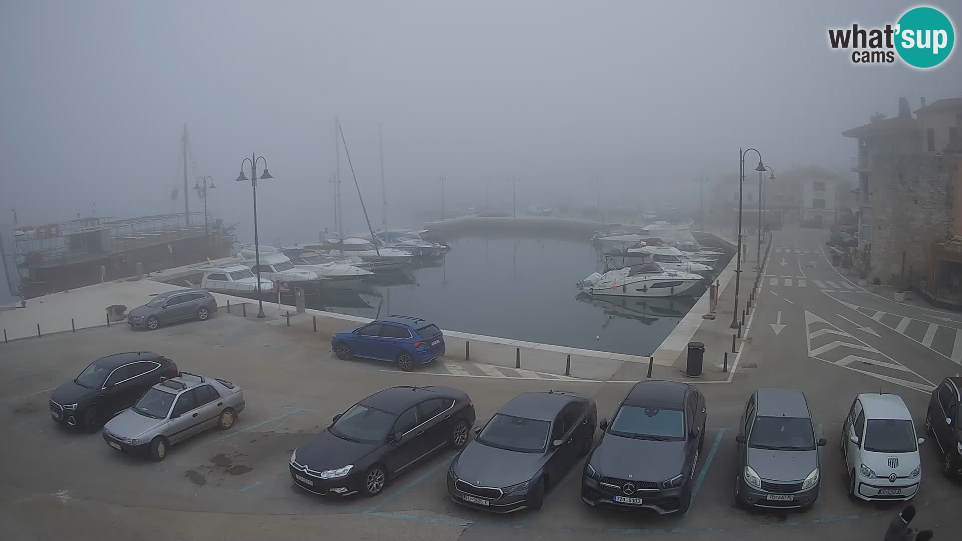 Novigrad | Porporela marina