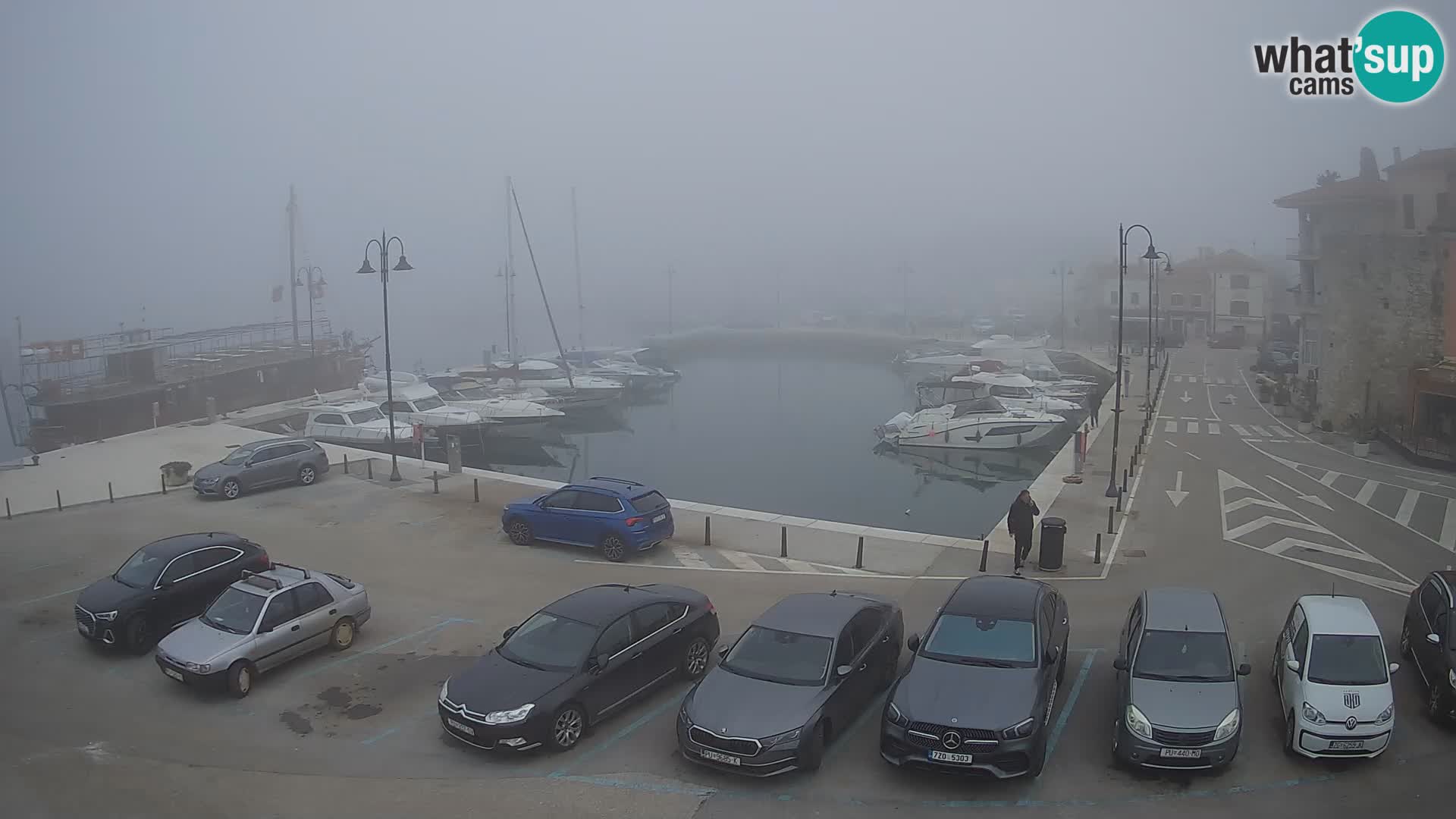 Novigrad | Porporela marina