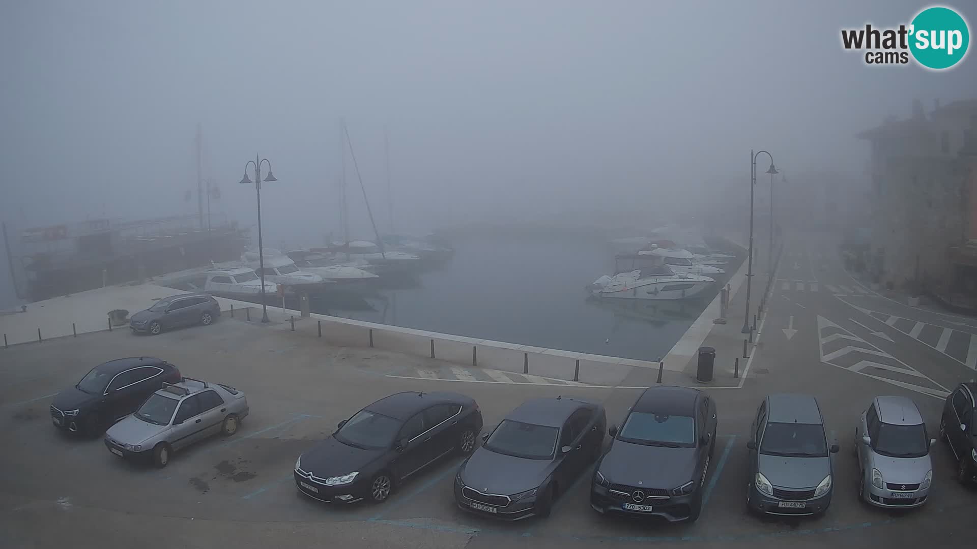 Novigrad | Porporela marina