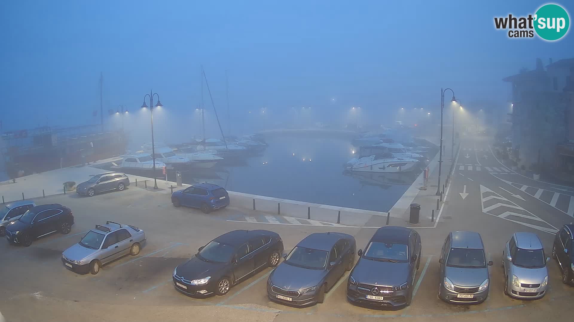 Novigrad | Porporela marina