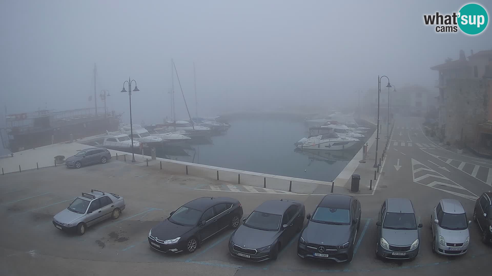 Novigrad | Porporela marina