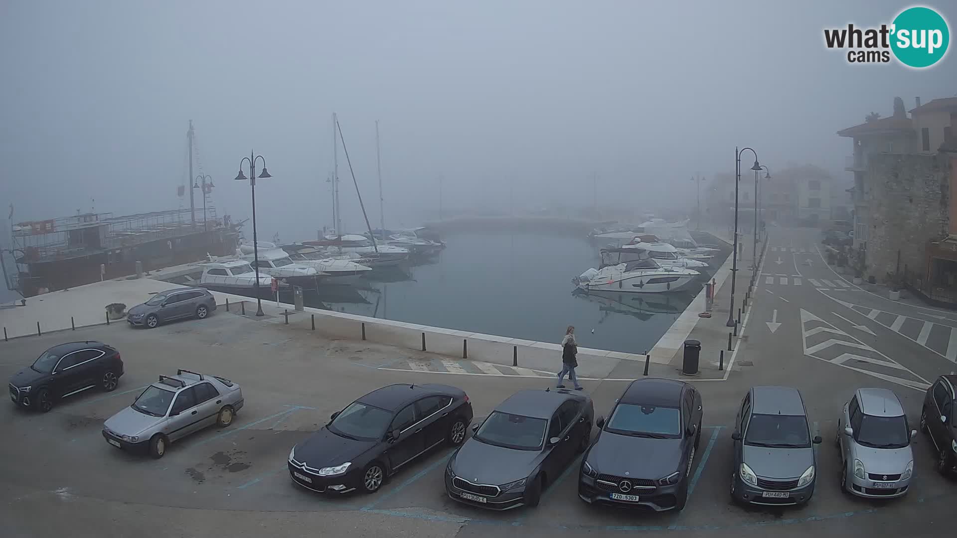 Novigrad | Porporela marina