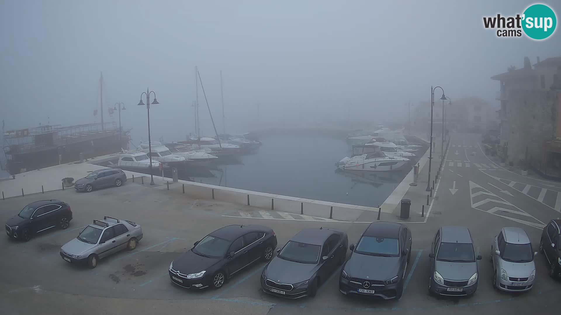 Novigrad | Porporela marina
