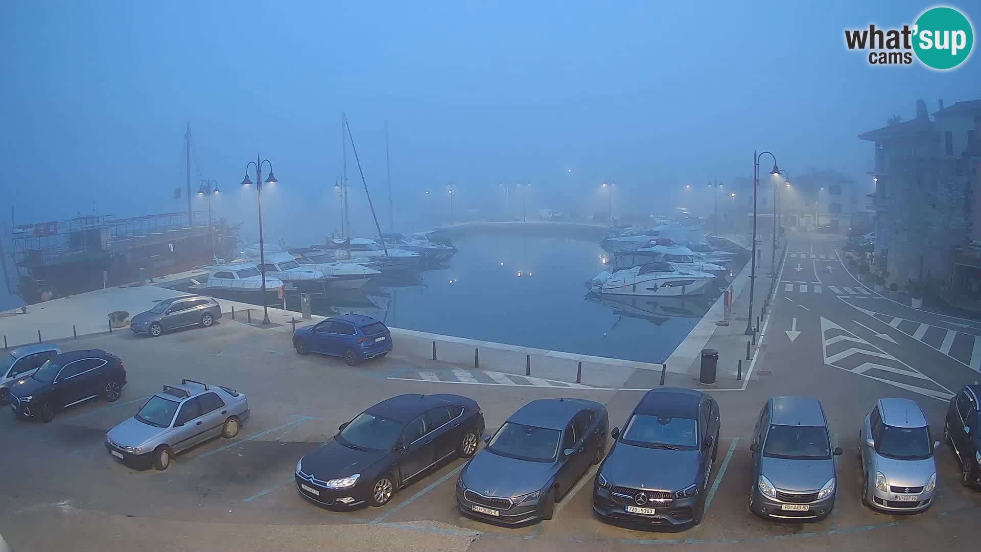 Novigrad | Porporela marina