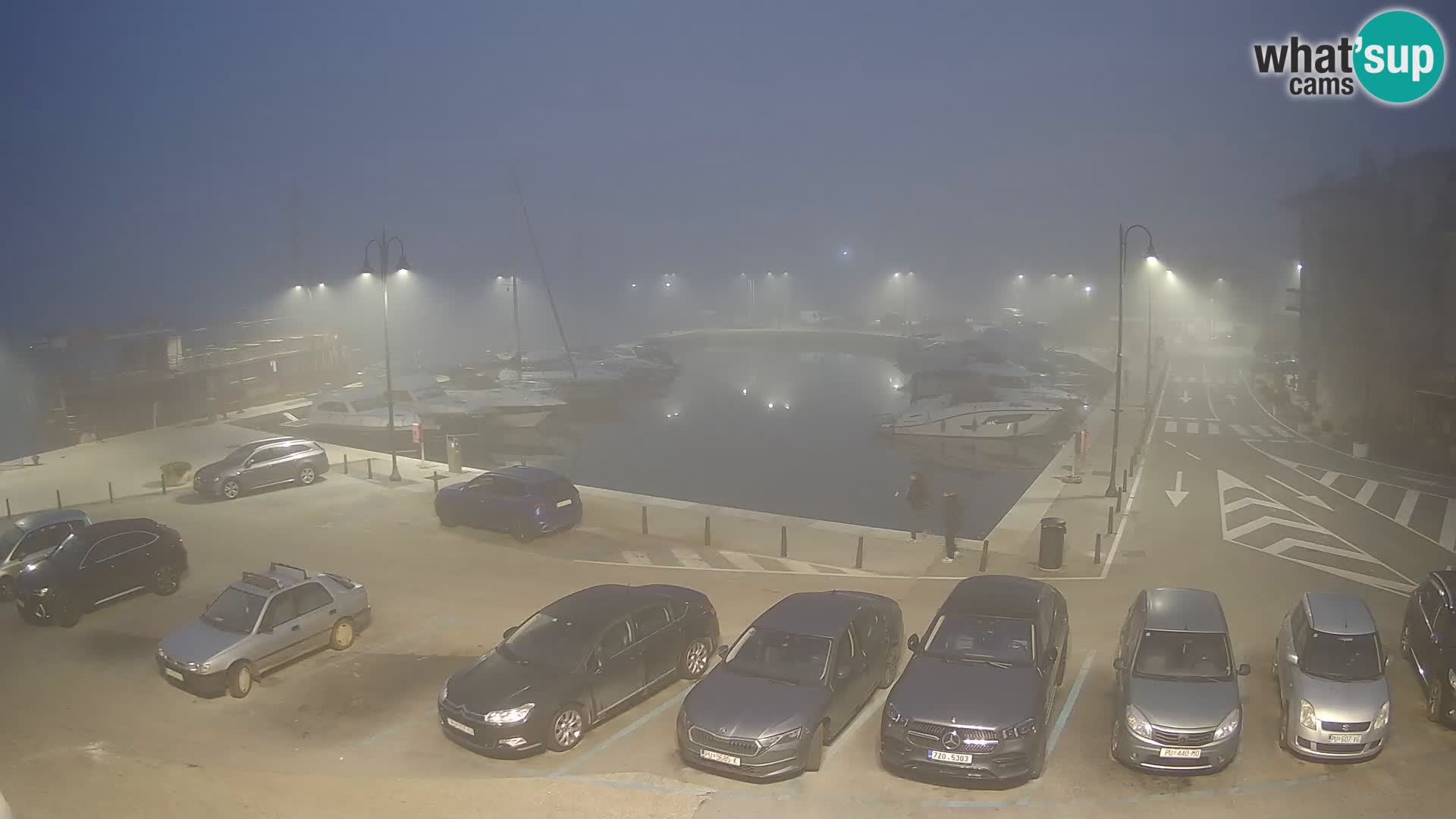 Novigrad | Porporela marina