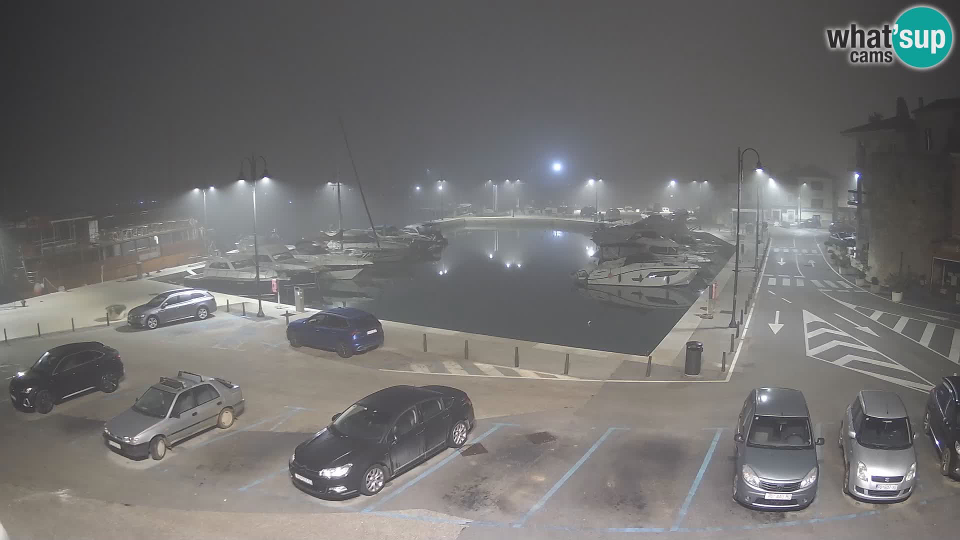 Novigrad | Porporela marina