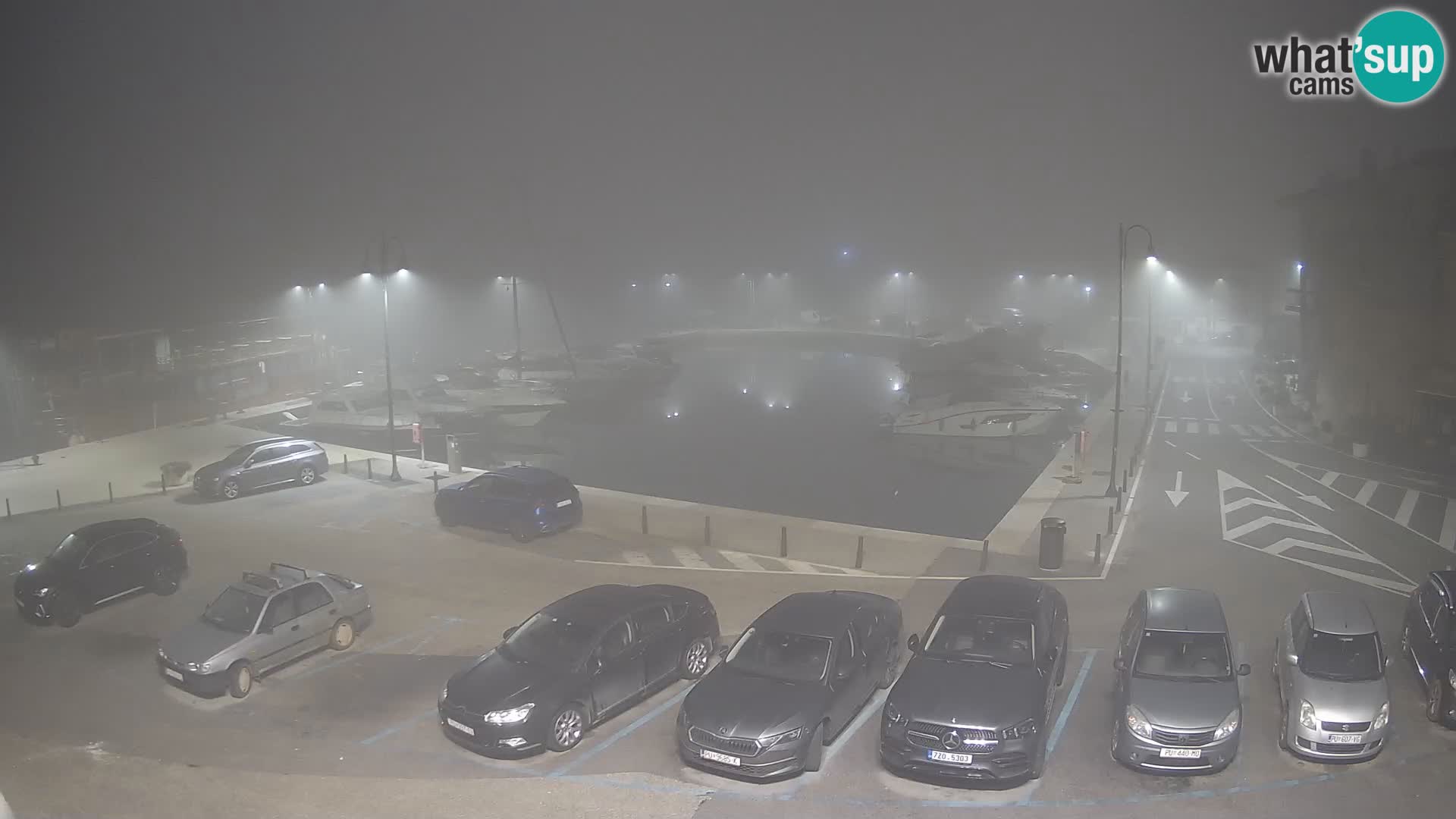 Novigrad | Porporela marina