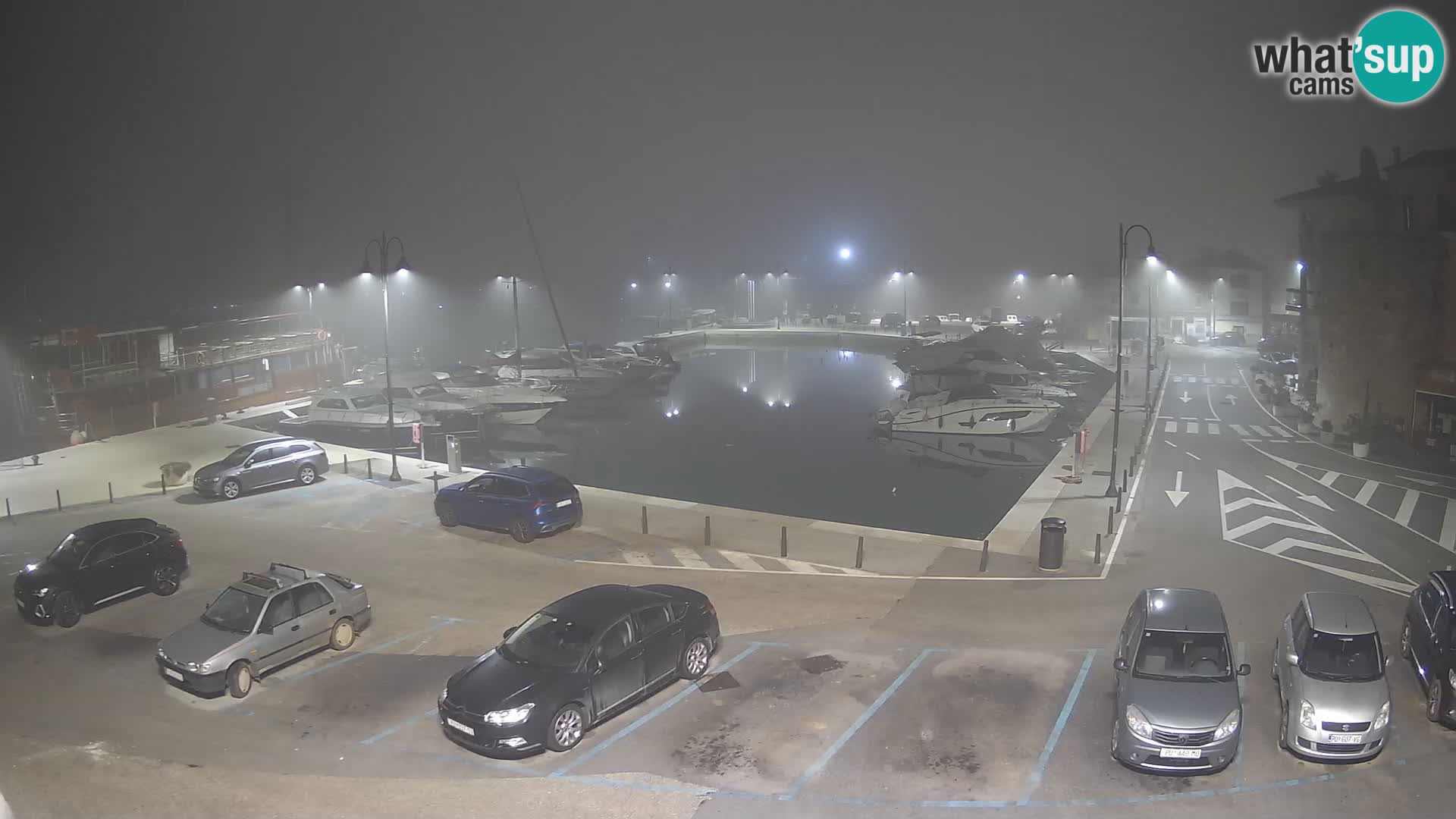 Novigrad | Porporela marina