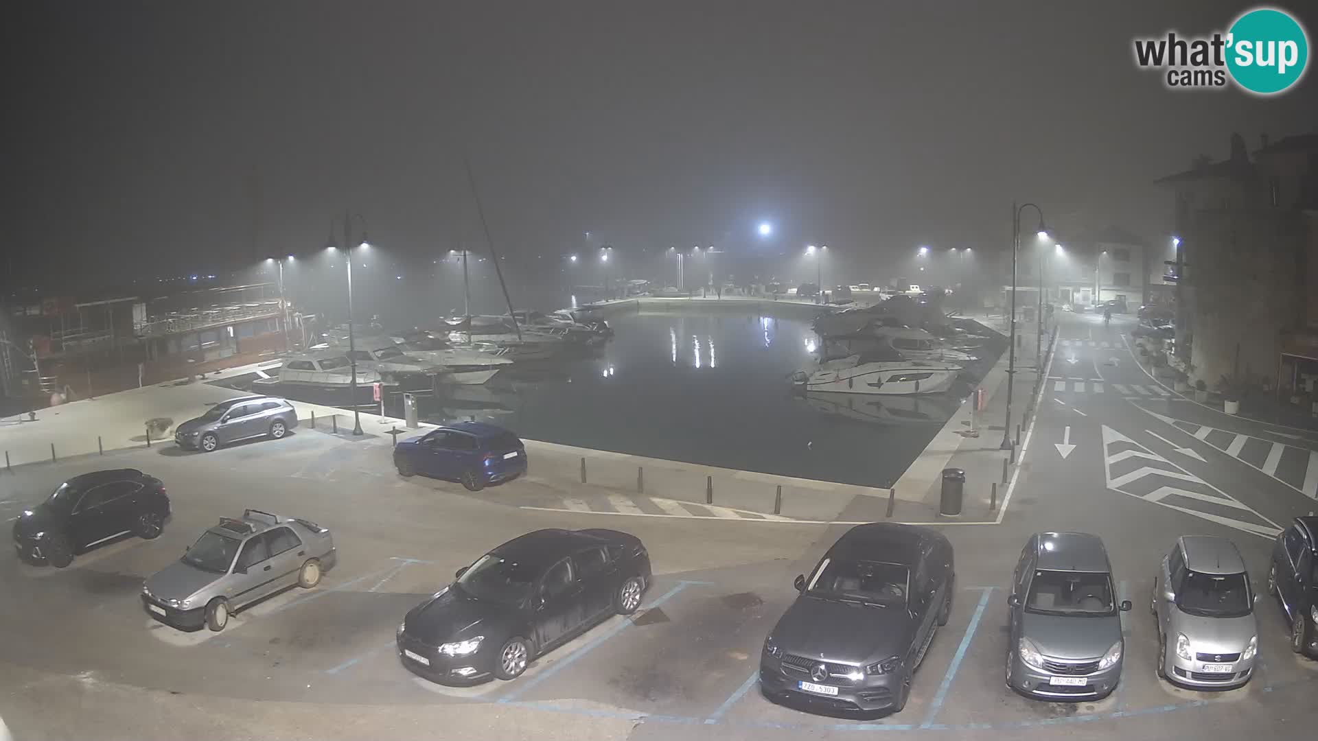 Novigrad | Porporela marina