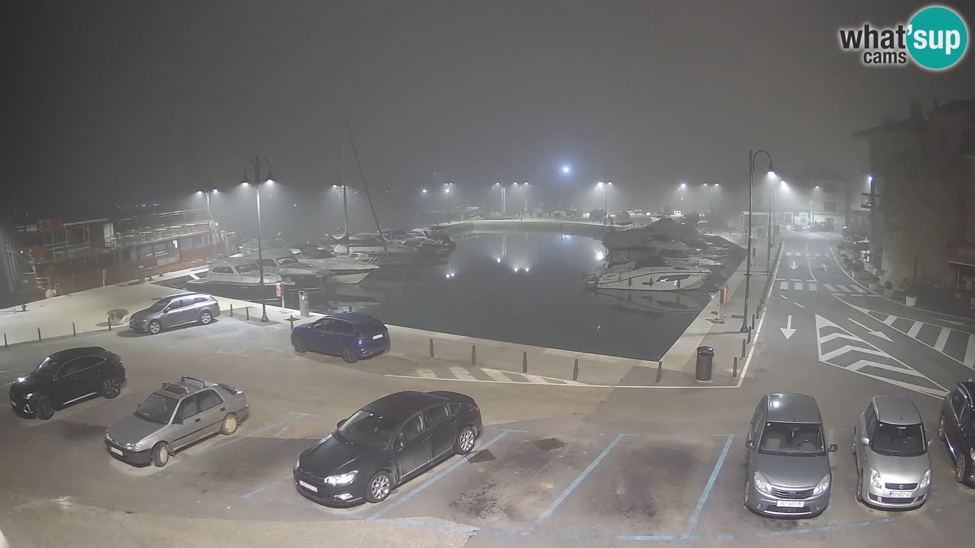 Novigrad | Porporela marina