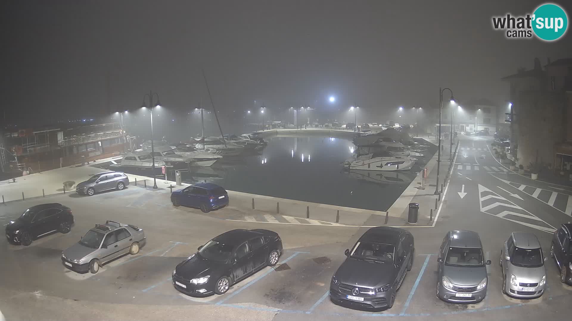 Novigrad | Porporela marina