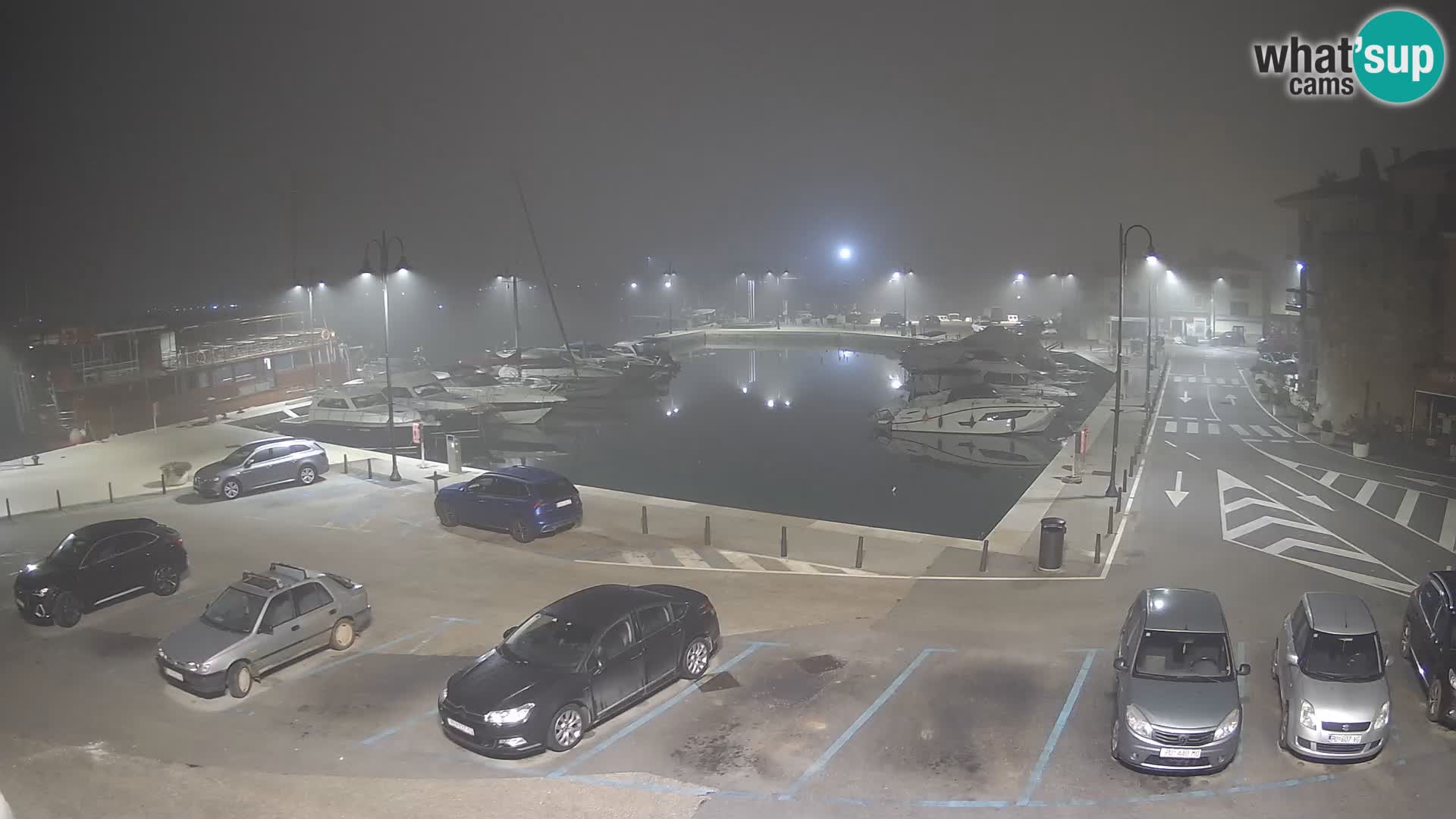 Novigrad | Porporela marina