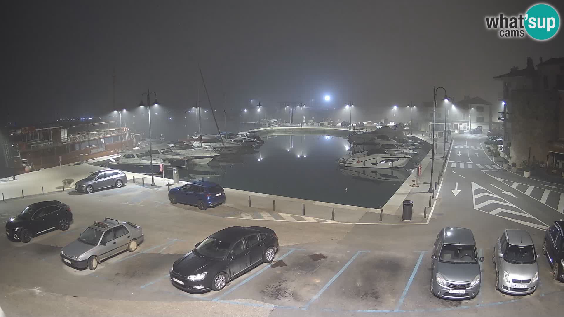 Novigrad | Porporela marina