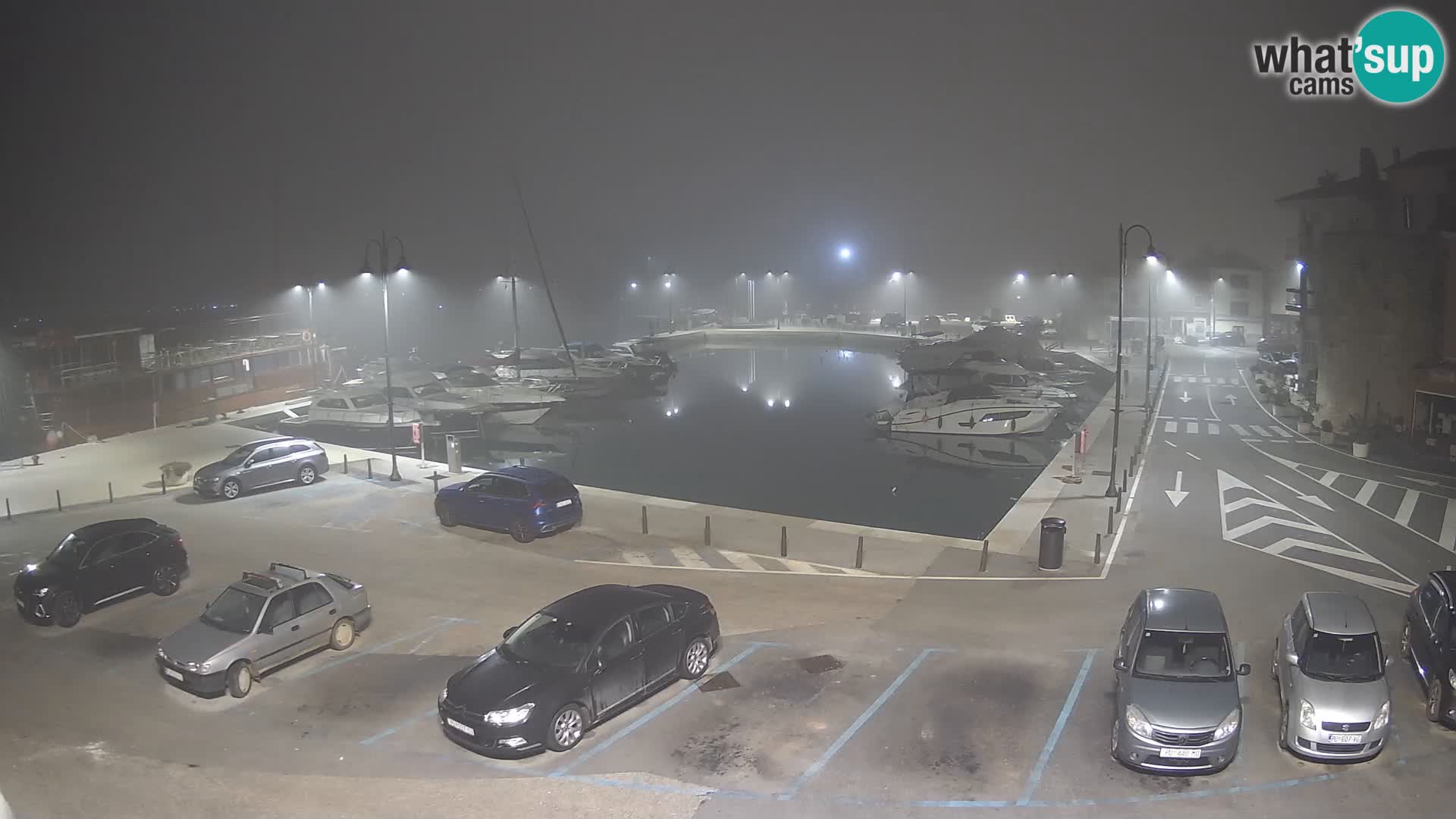 Novigrad | Porporela marina