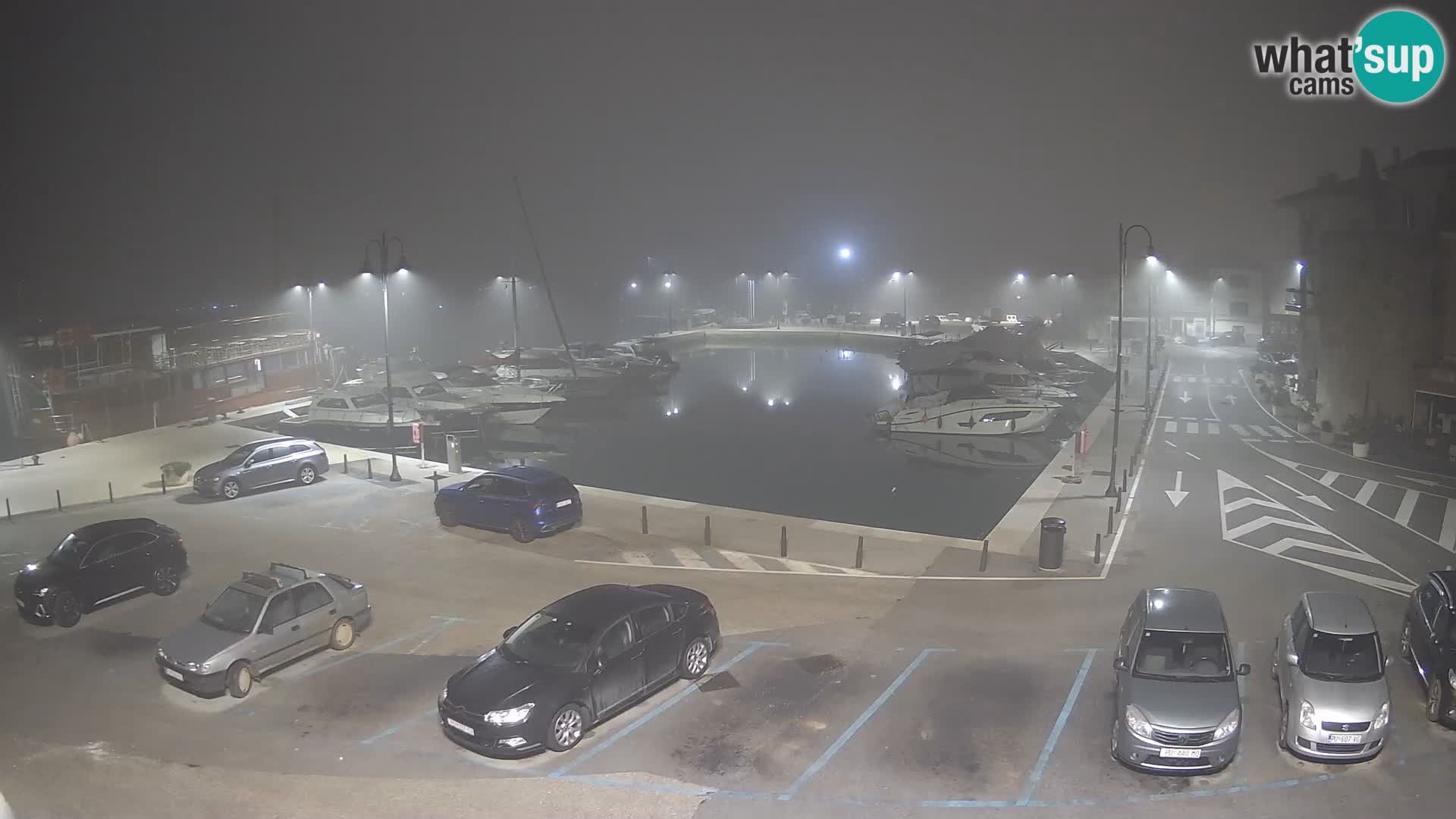 Novigrad | Porporela marina