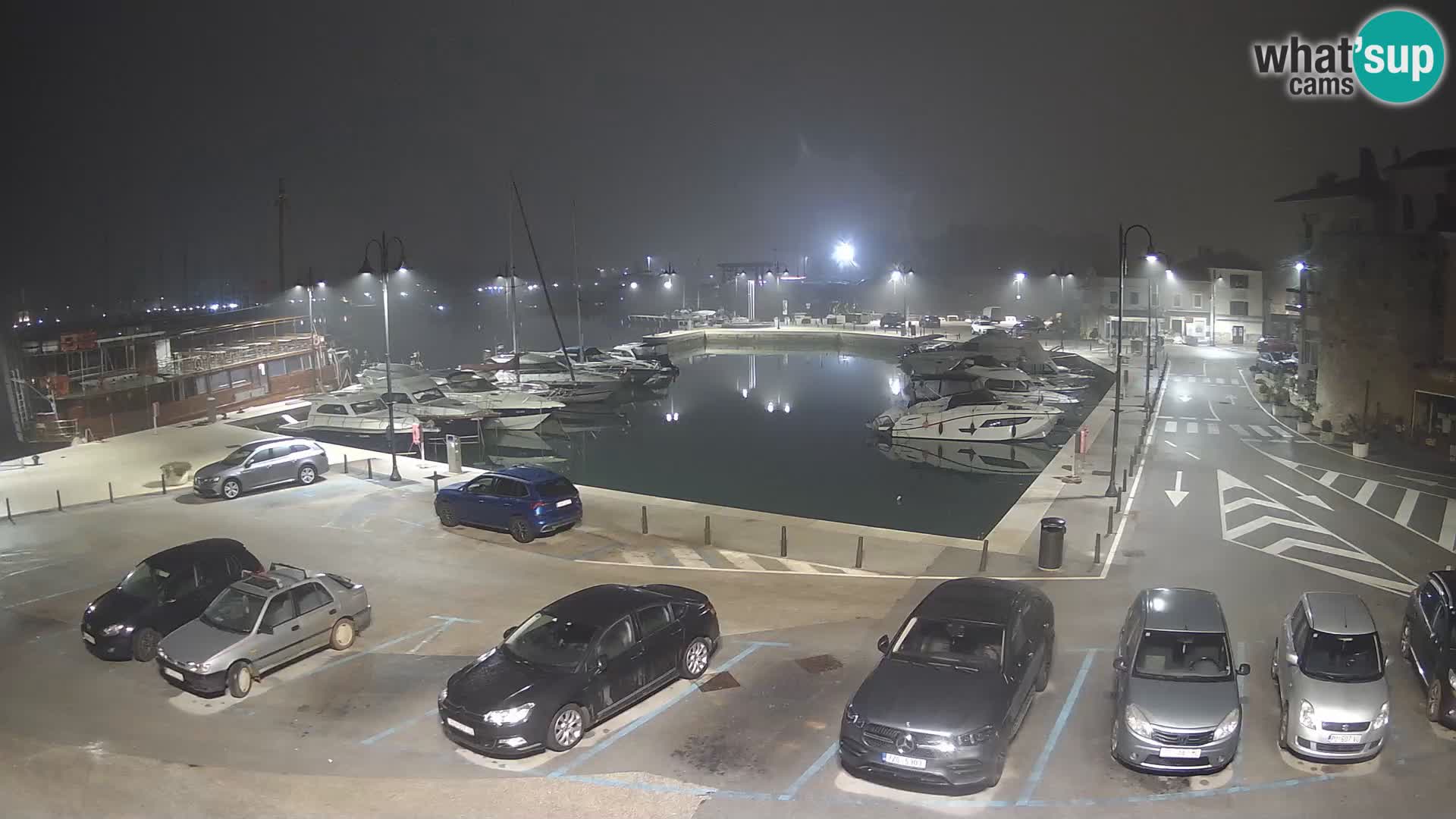 Novigrad | Porporela marina