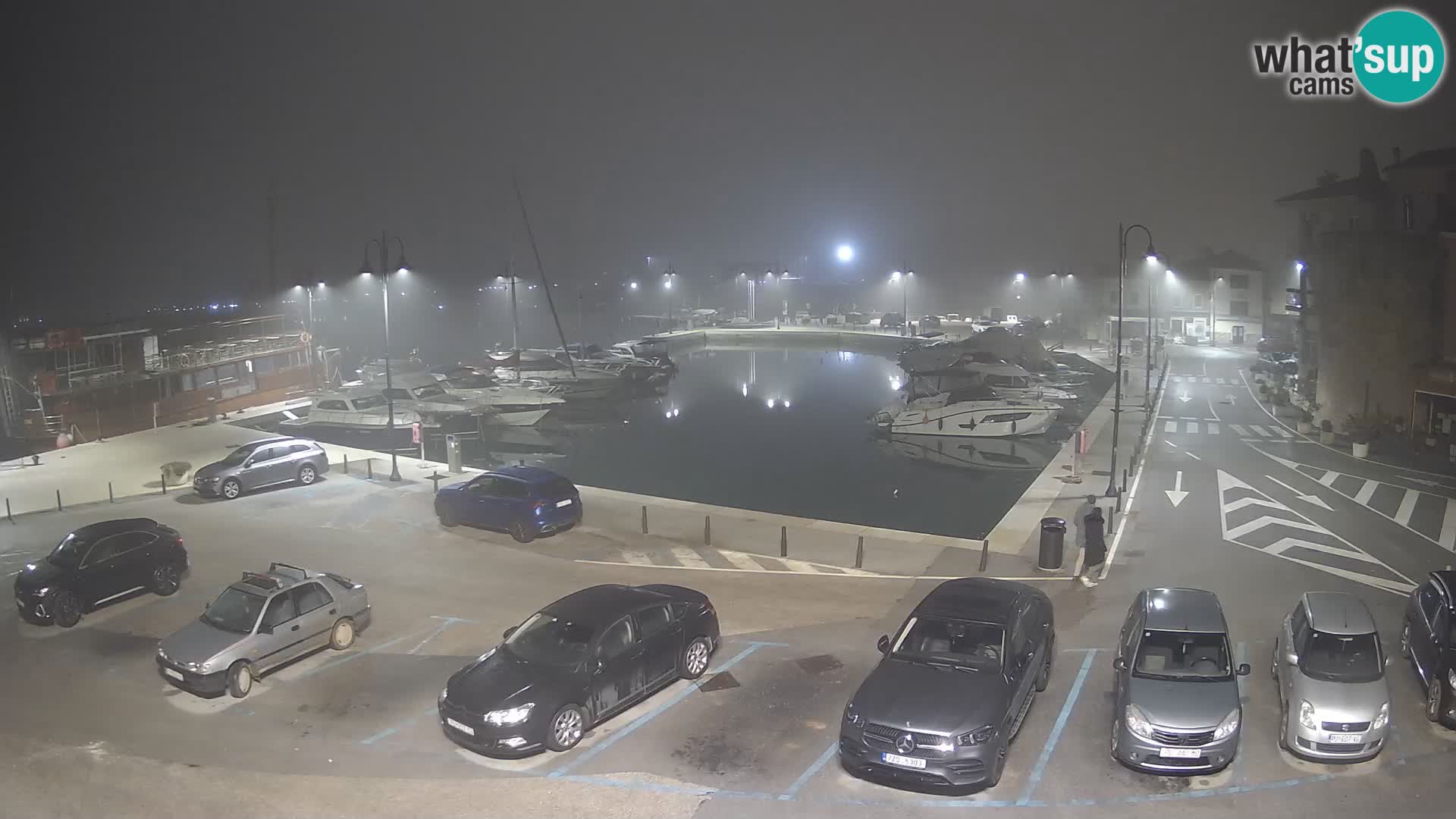 Novigrad | Porporela marina