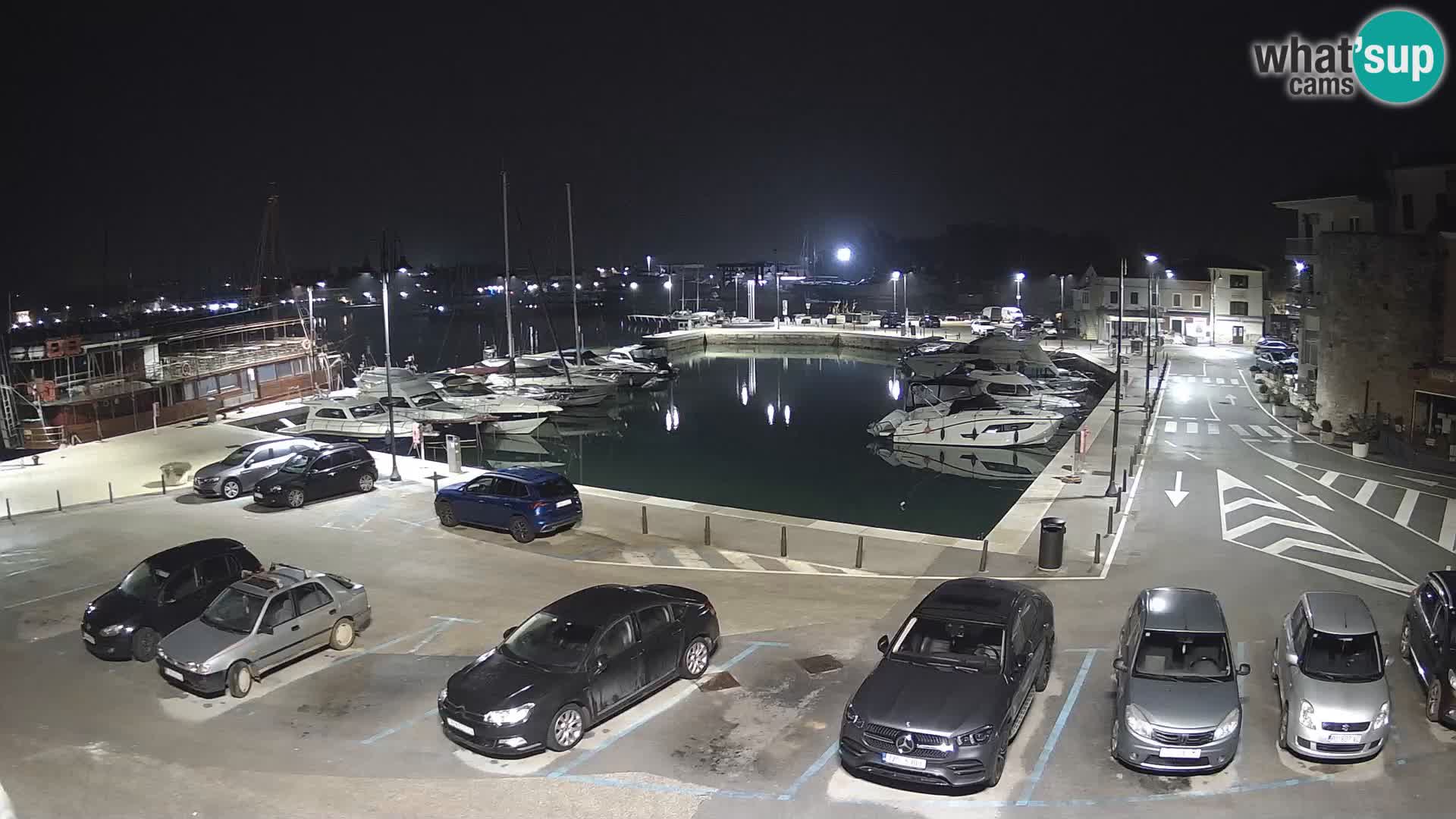 Novigrad | Porporela marina