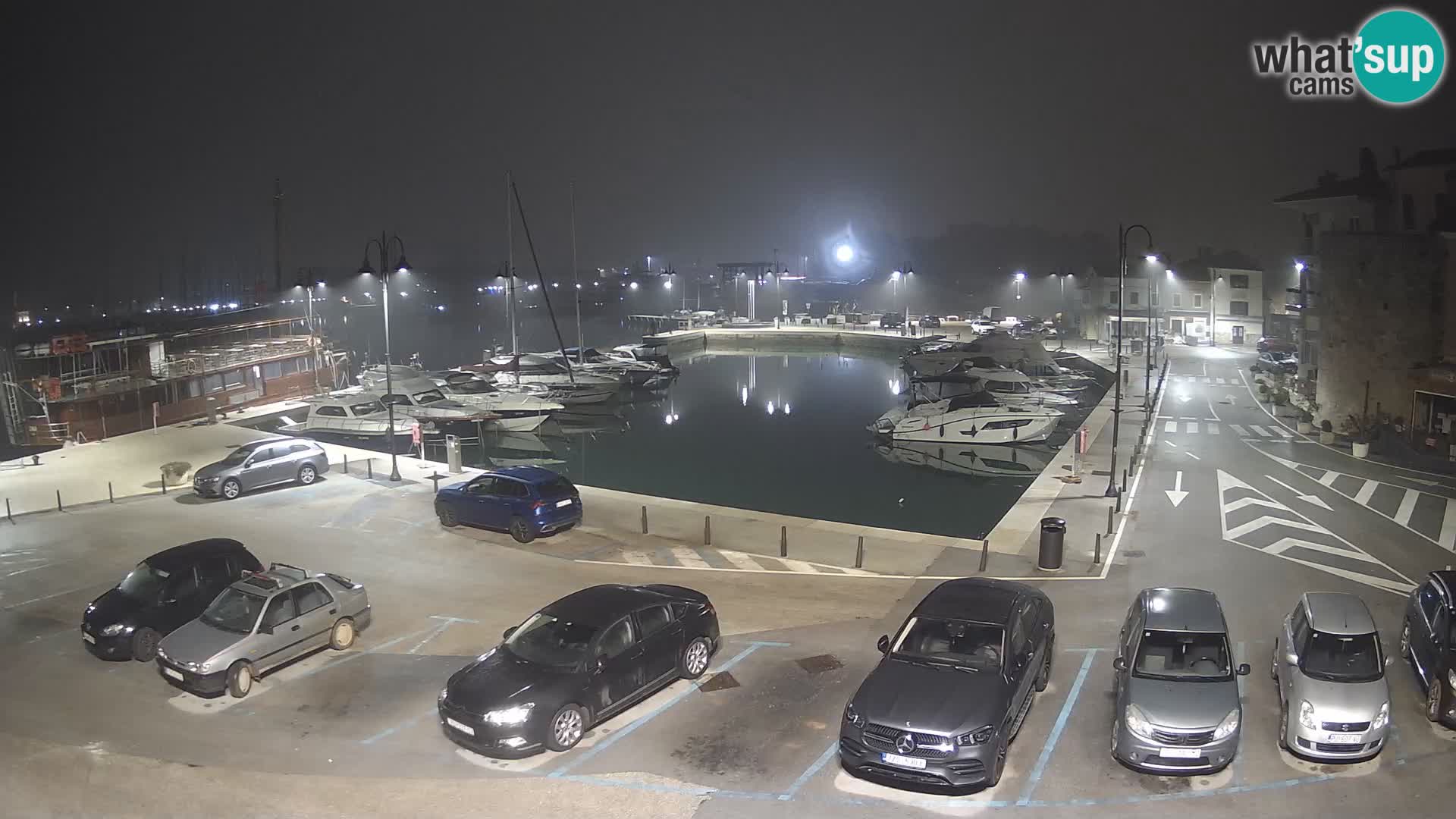 Novigrad | Porporela marina