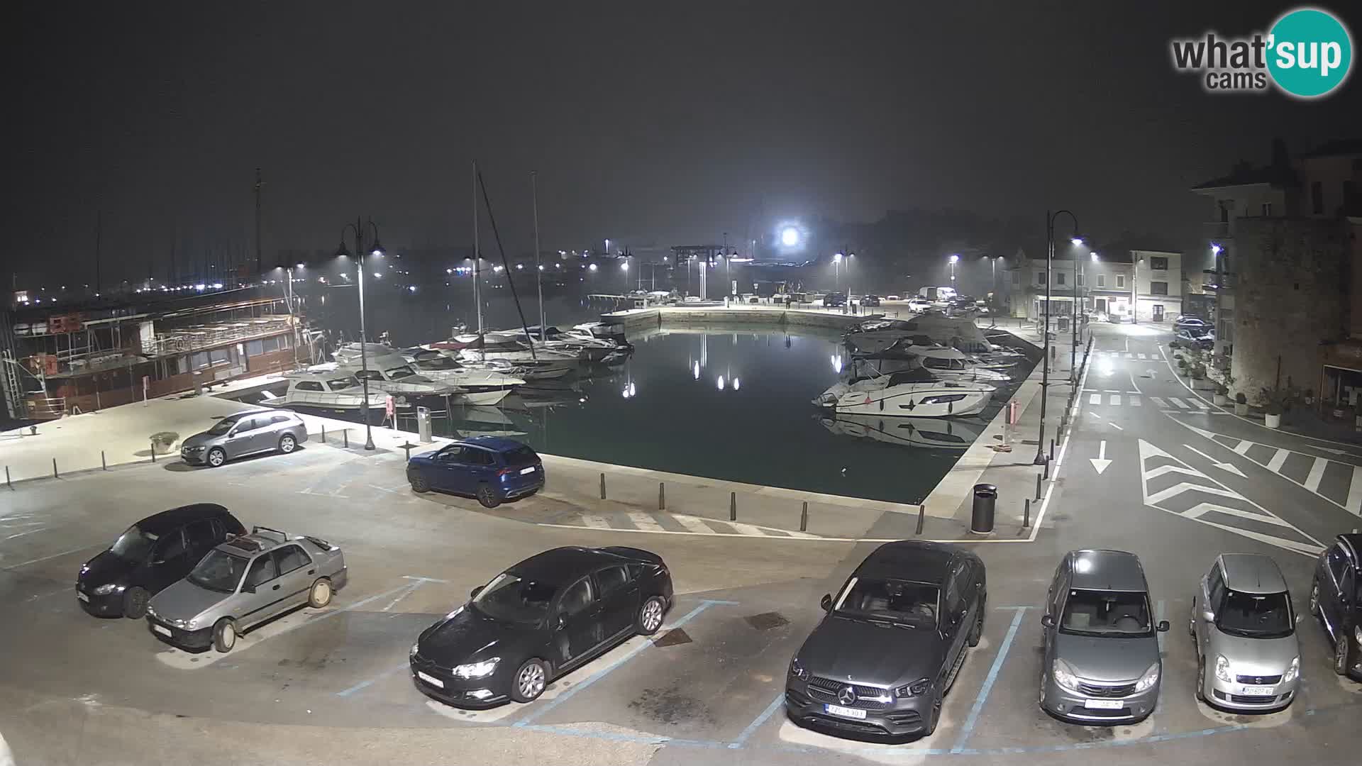 Novigrad | Porporela marina