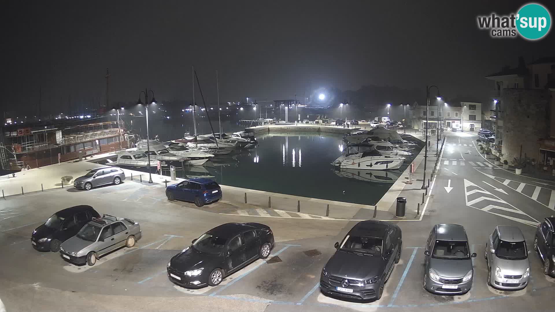 Novigrad | Porporela marina