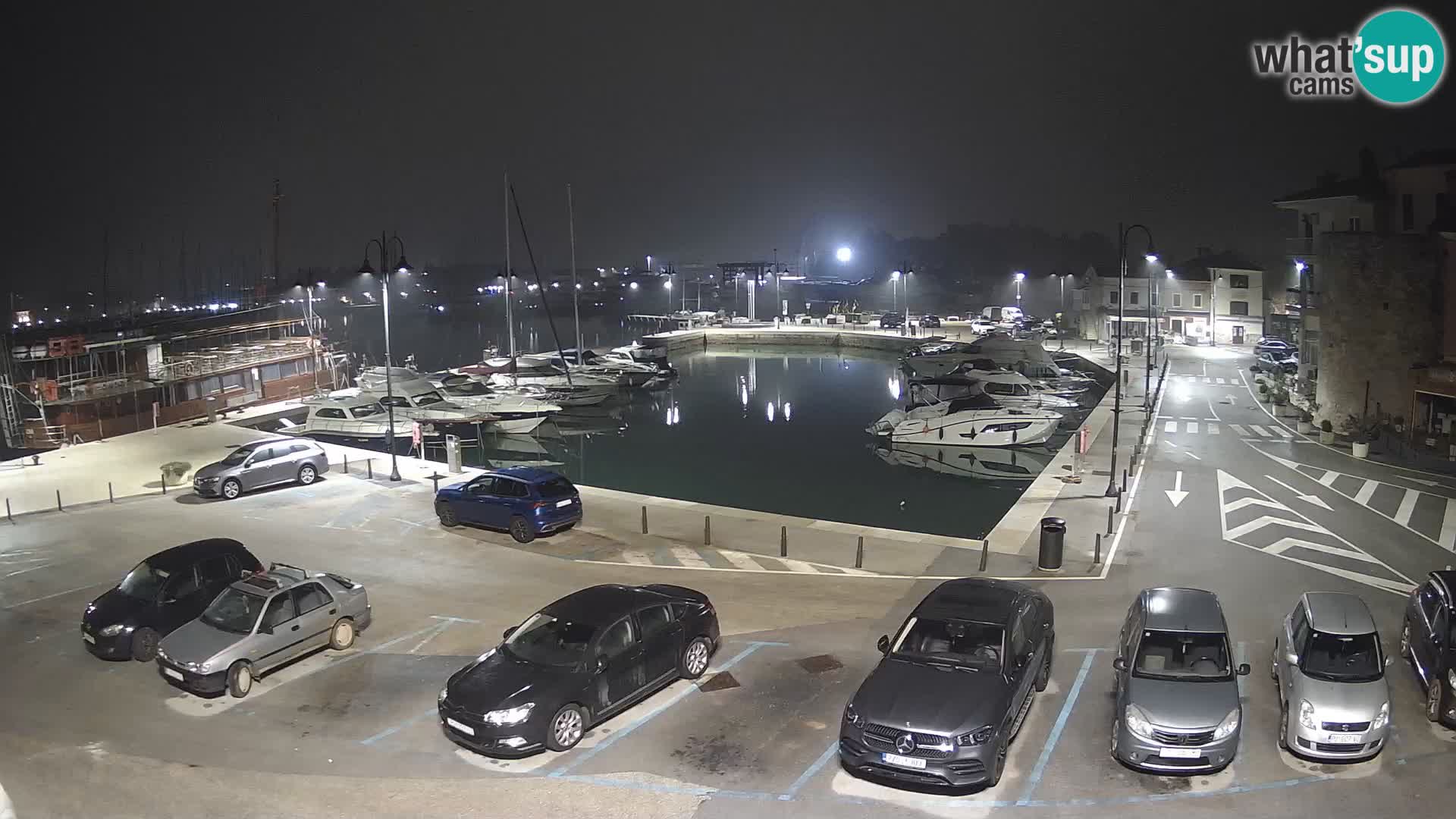 Novigrad | Porporela marina