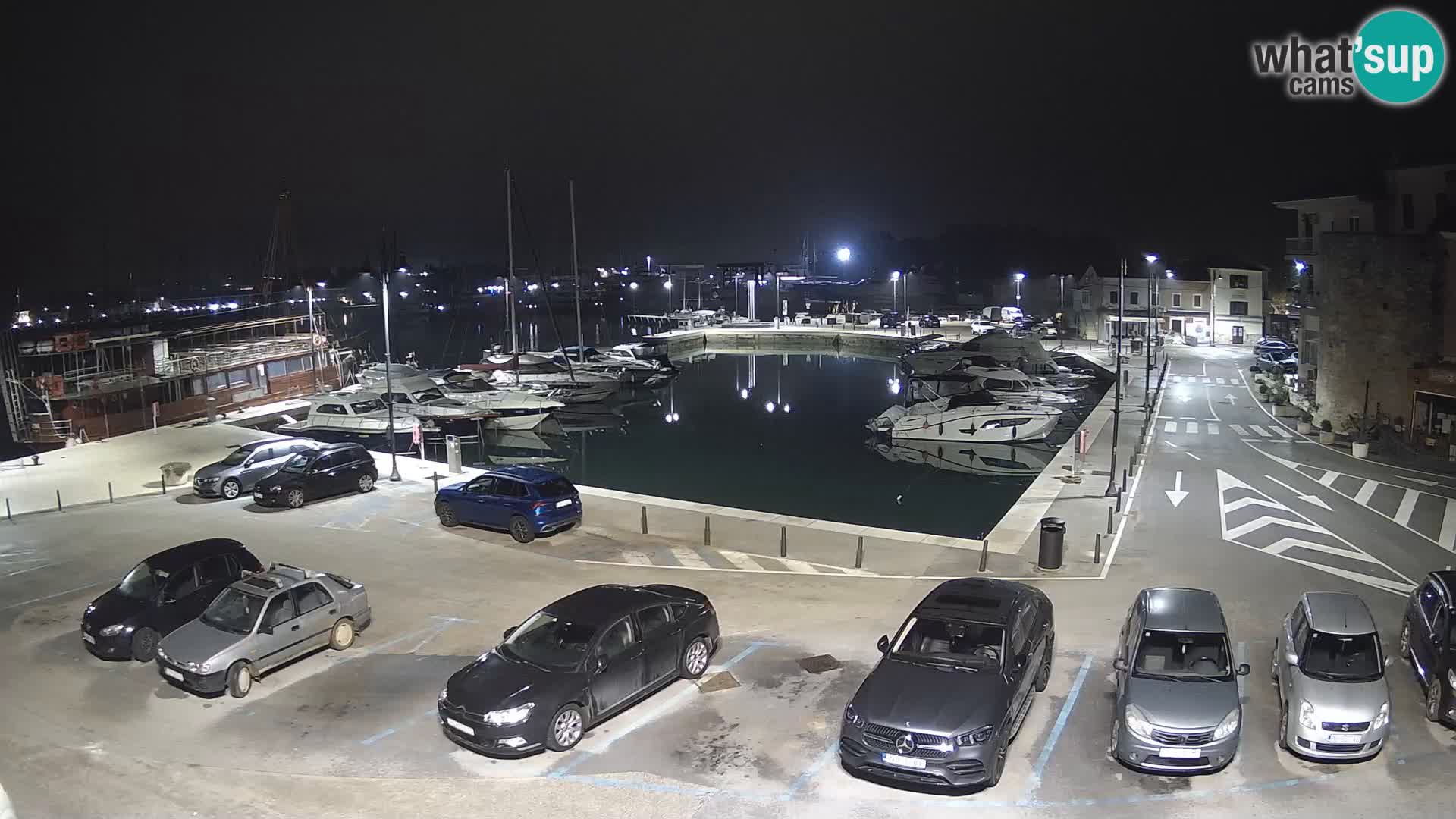 Novigrad | Porporela marina