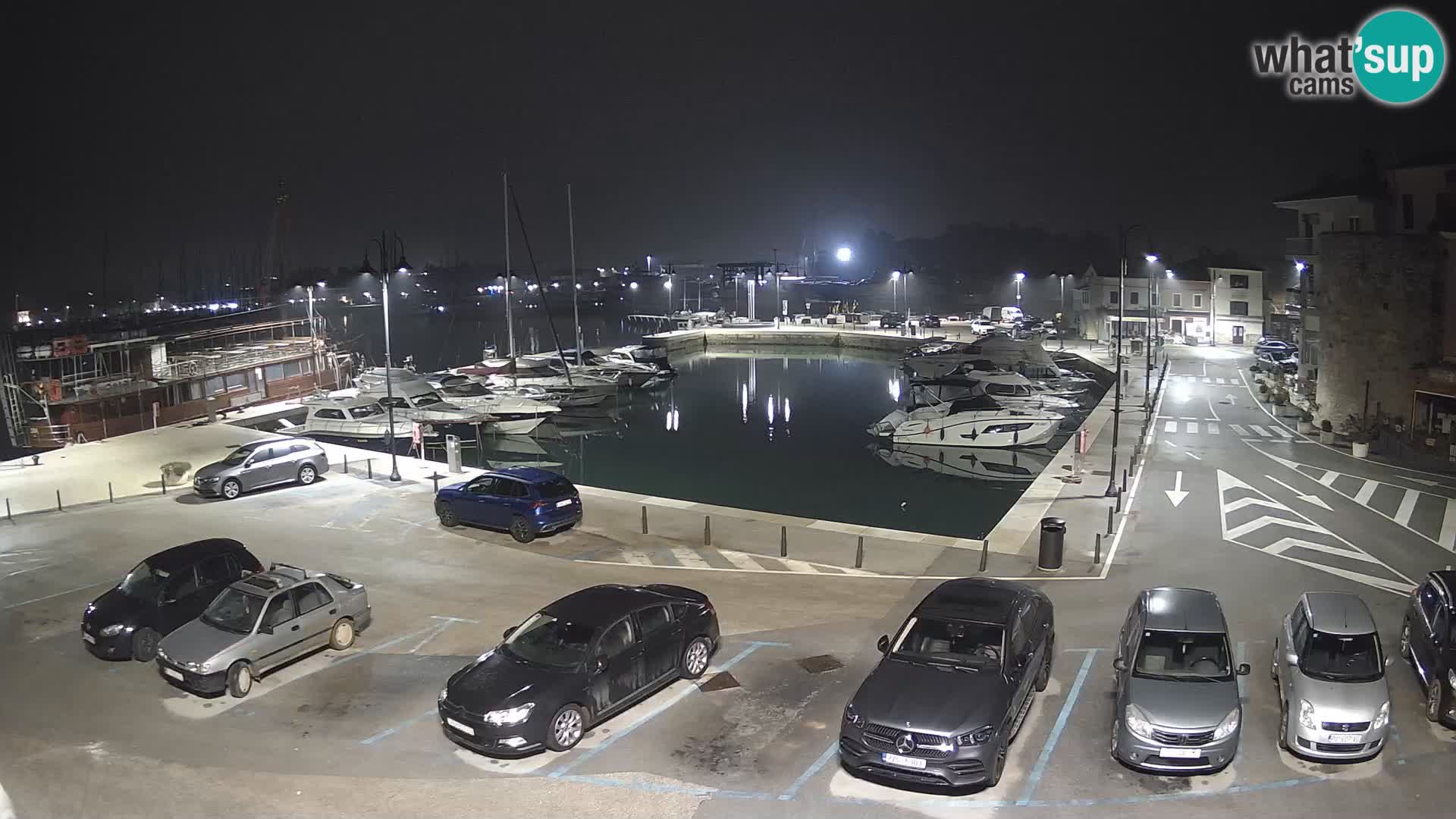 Novigrad | Porporela marina