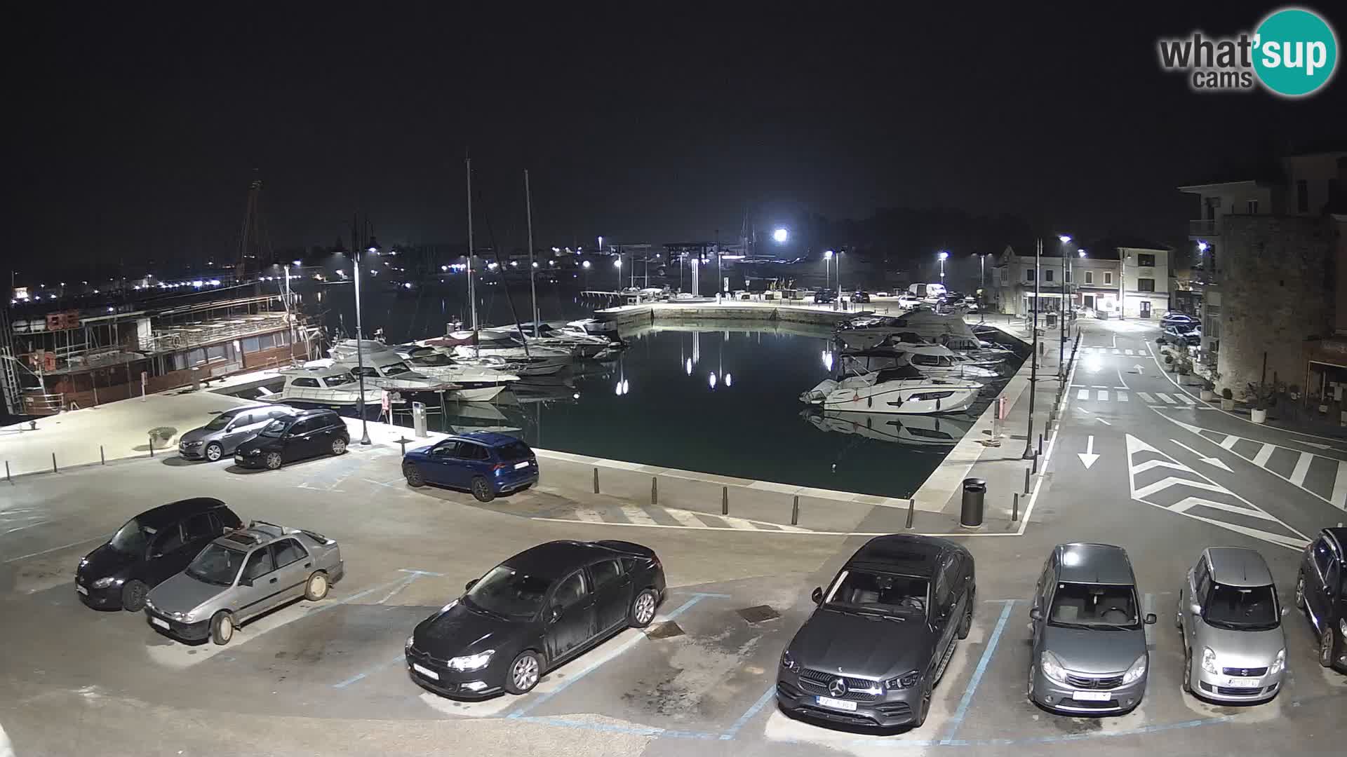 Novigrad | Porporela marina
