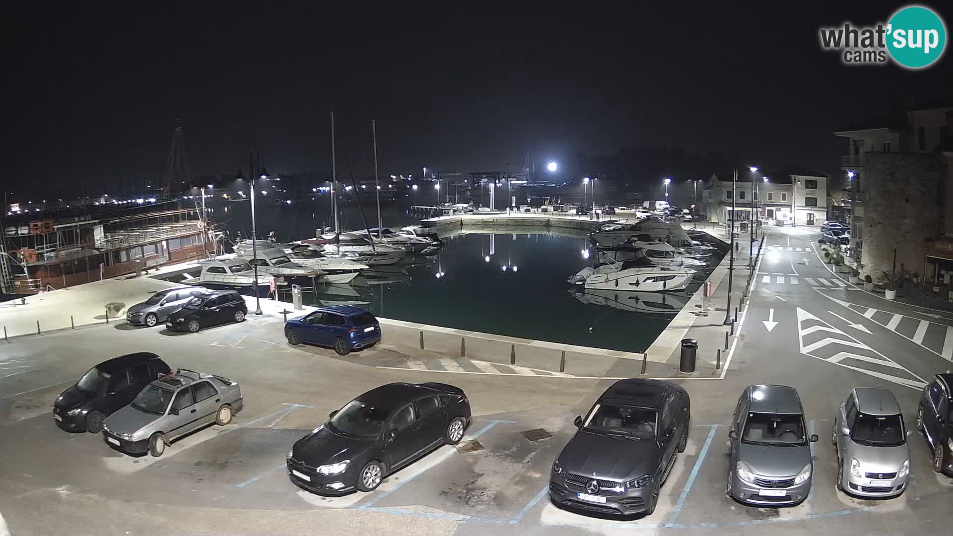 Novigrad | Porporela marina