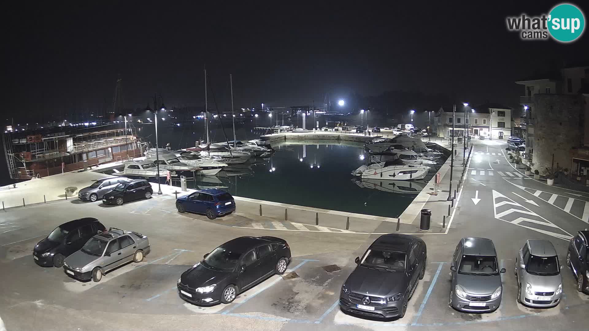 Novigrad | Porporela marina