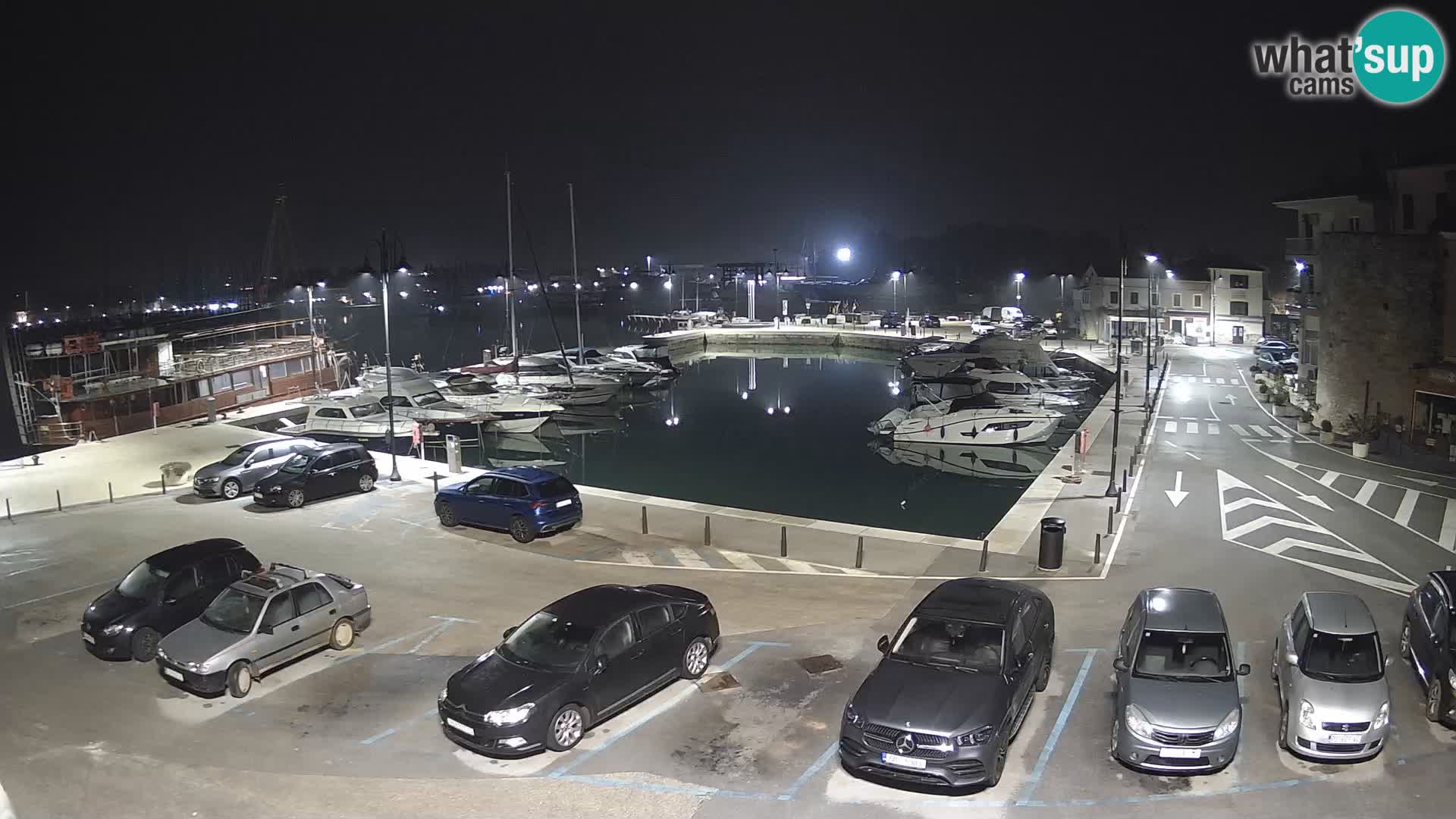 Novigrad | Porporela marina
