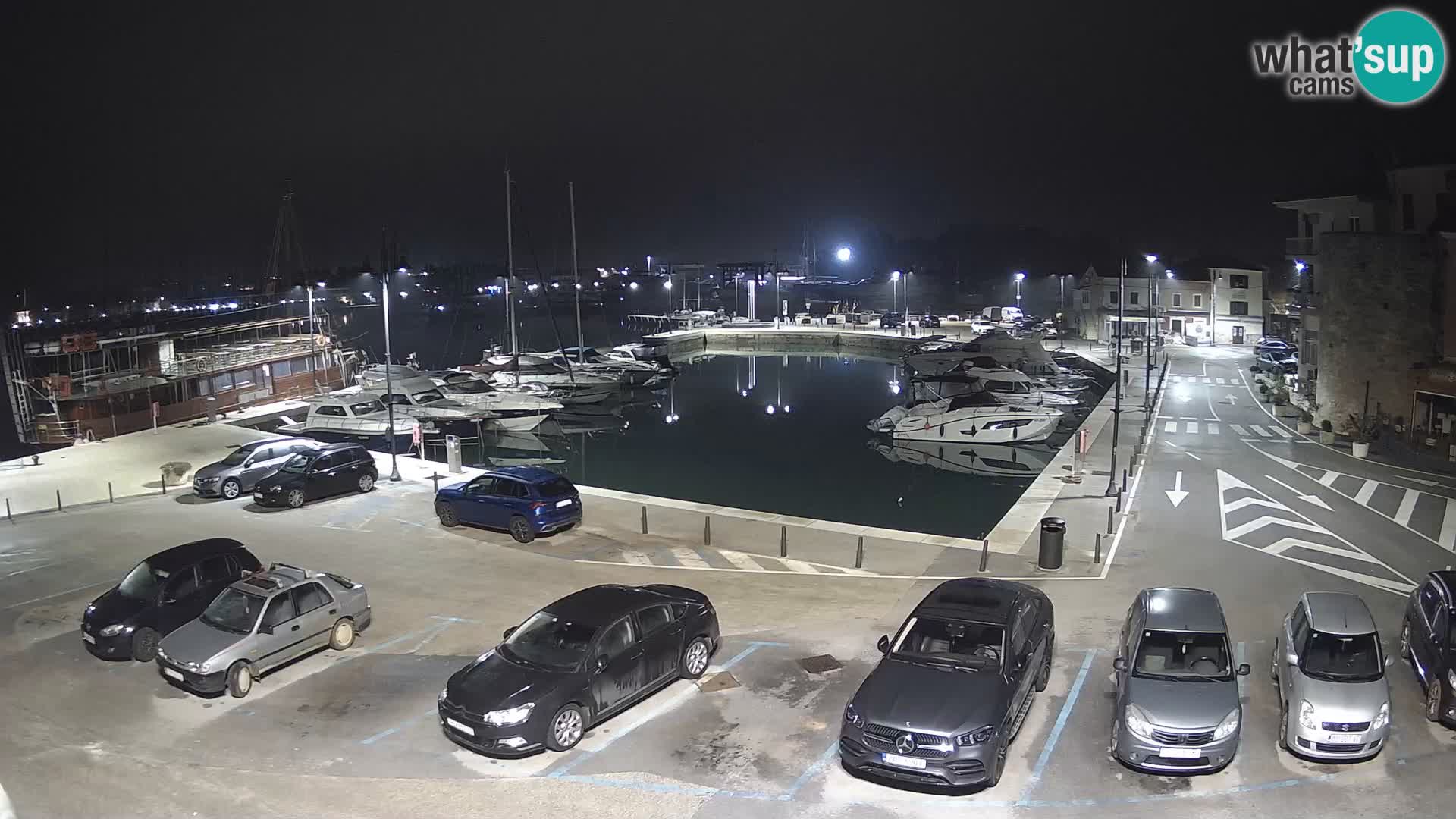 Novigrad | Porporela marina