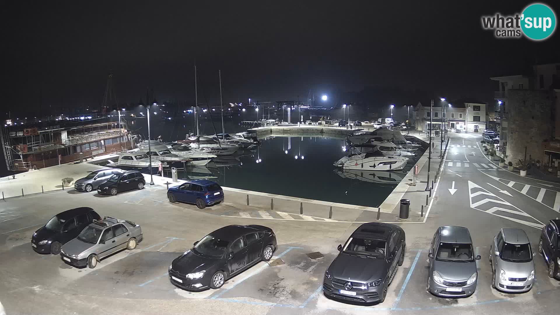 Novigrad | Porporela marina