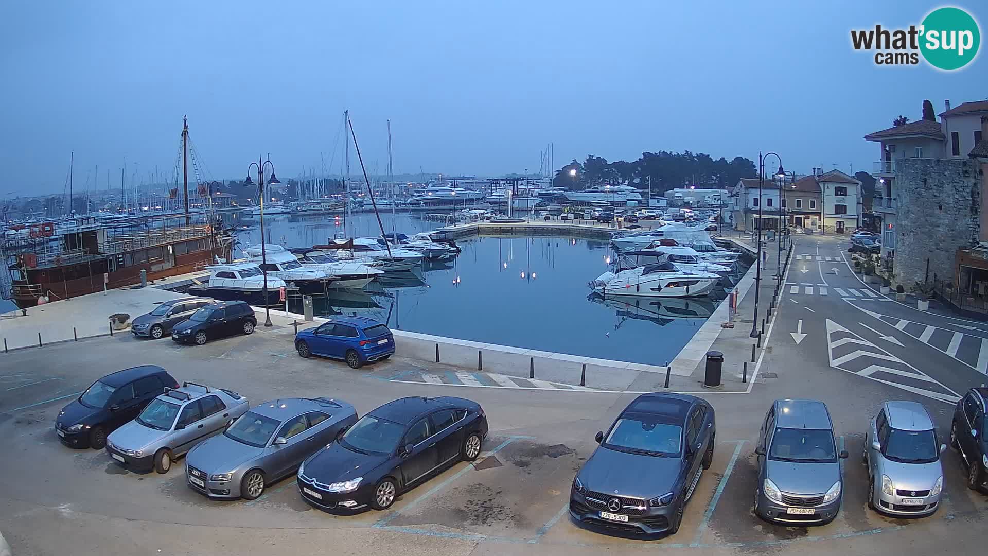 Novigrad | Porporela marina