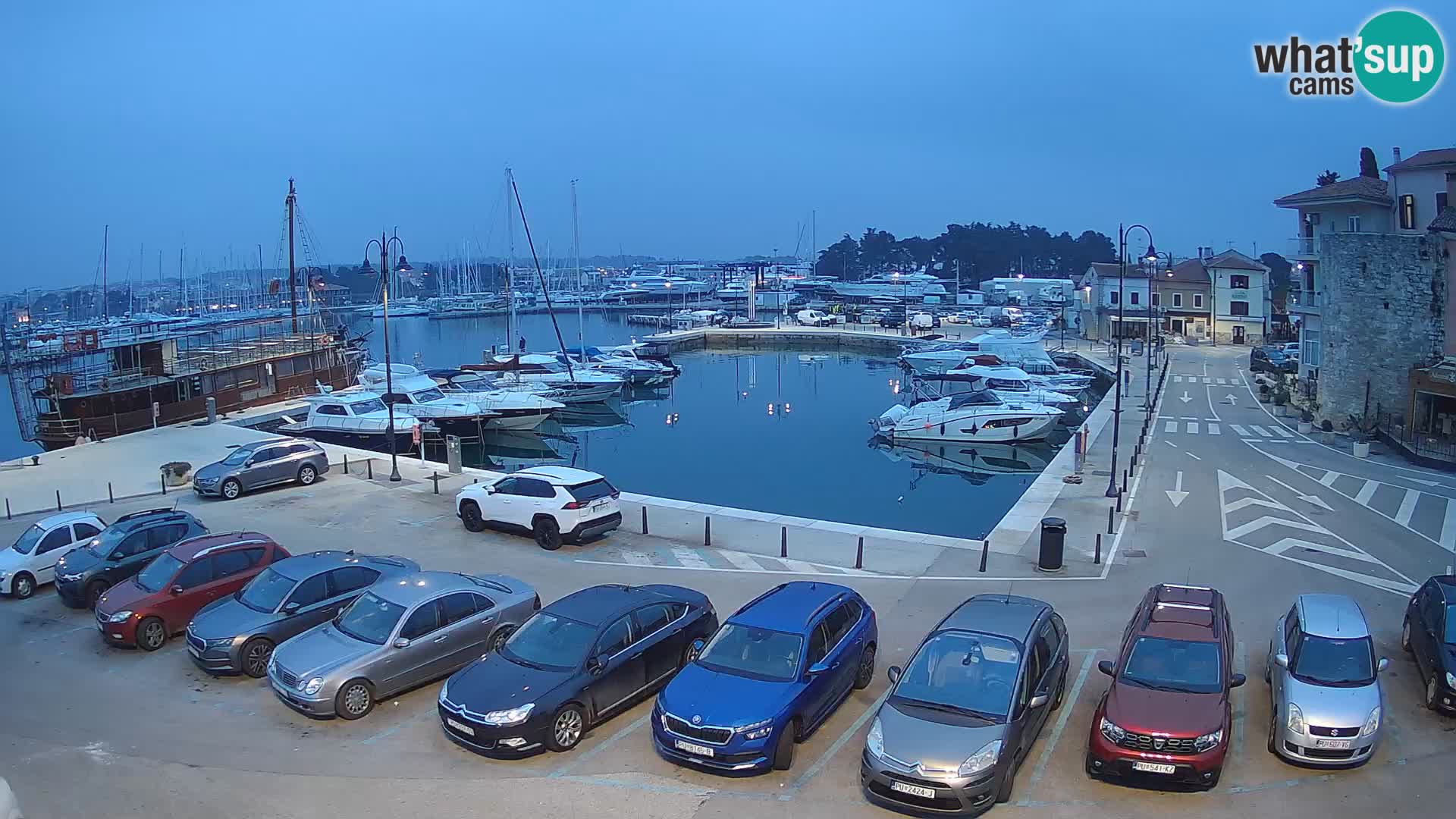 Novigrad | Porporela marina