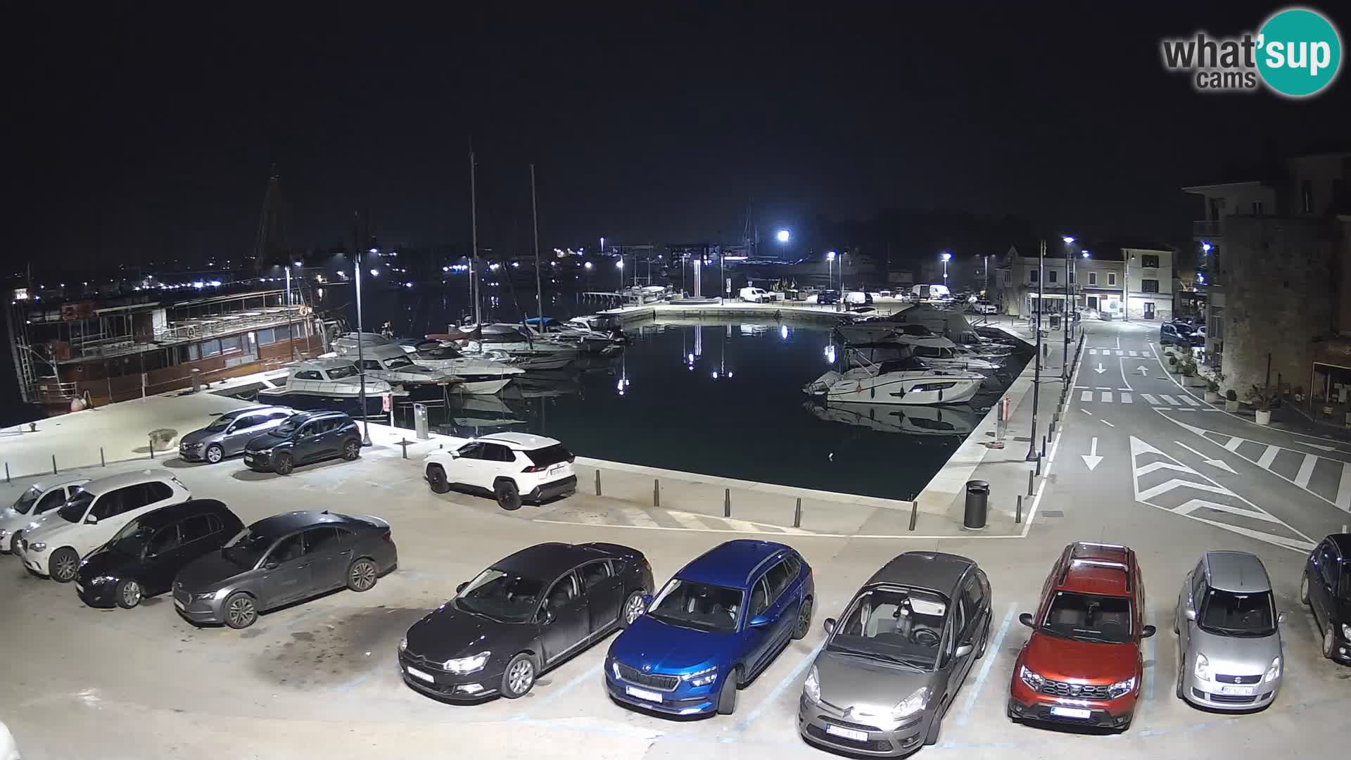 Novigrad | Porporela marina